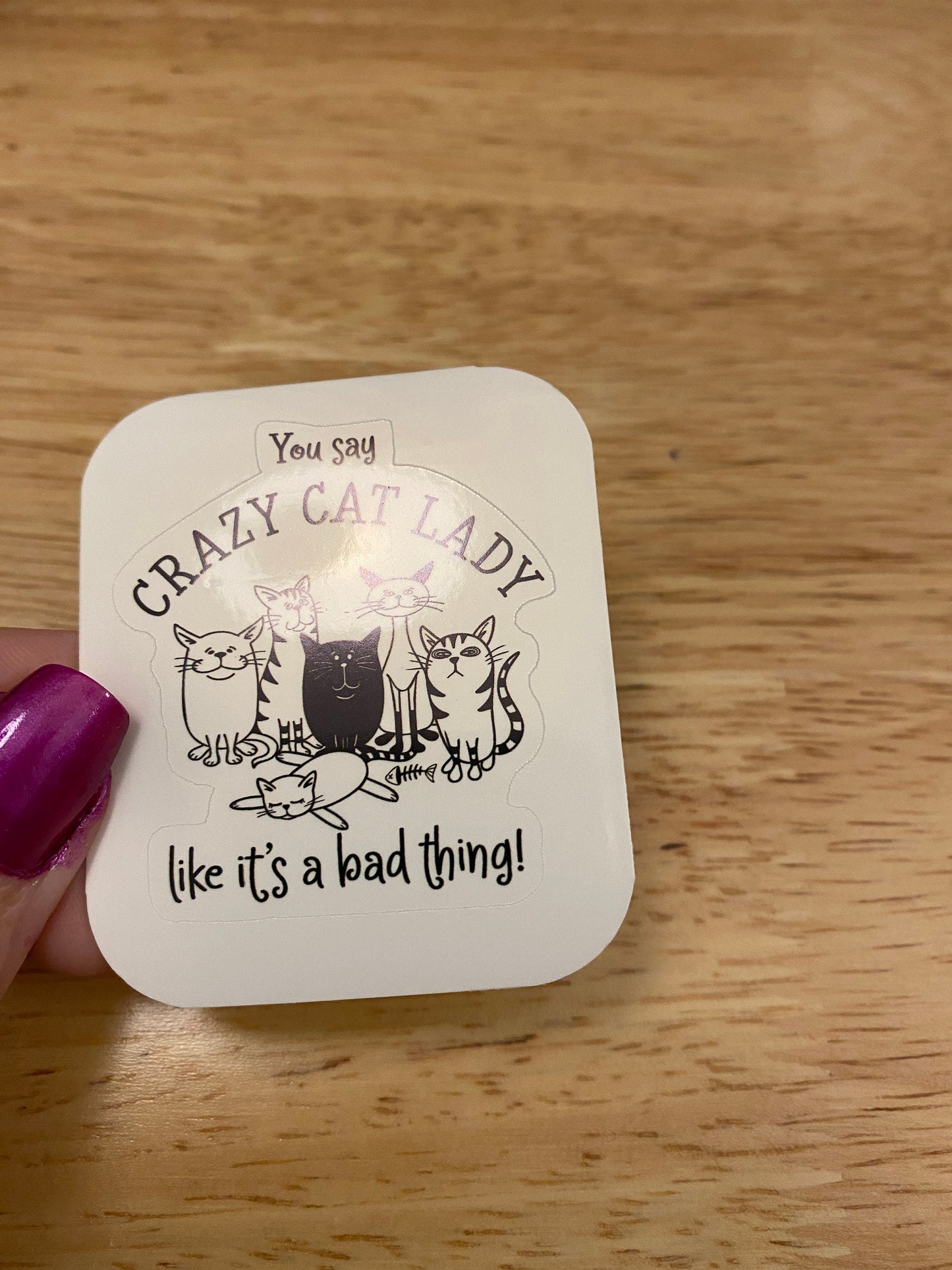You say Crazy Cat Lady like its a Bad Thing STICKER