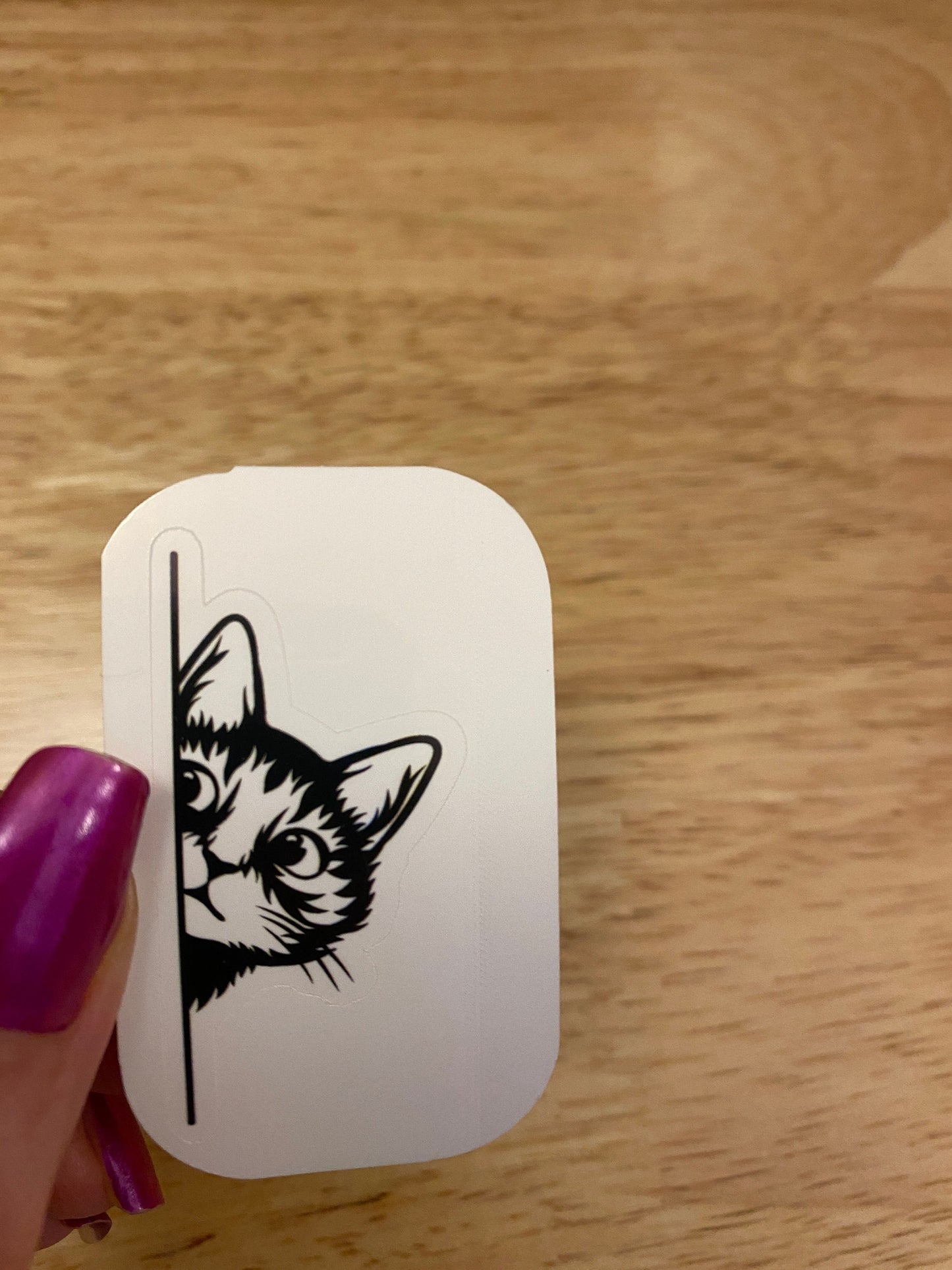 Corner Kitty peeking STICKER