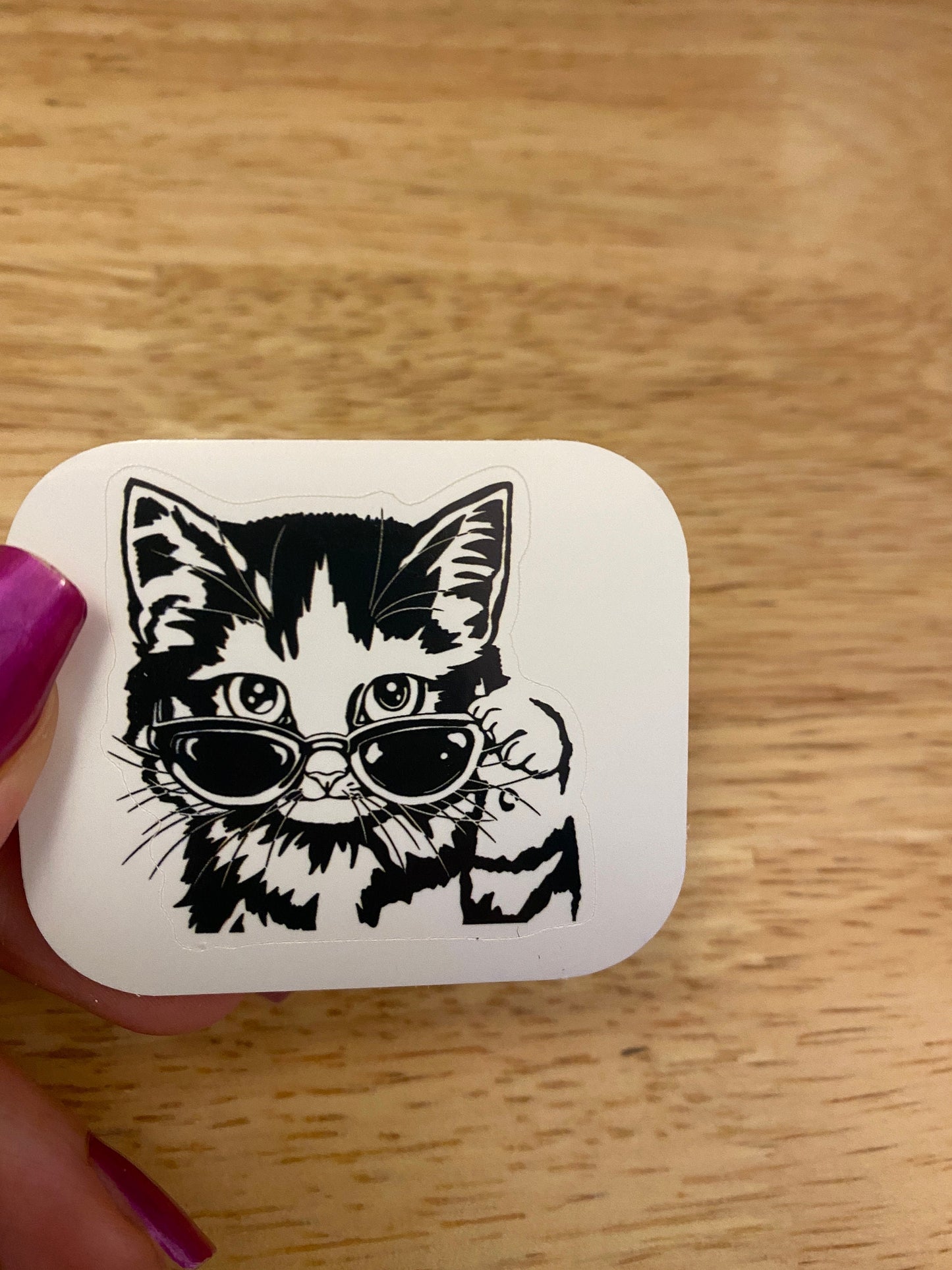 Cat with Sunglasses STICKER