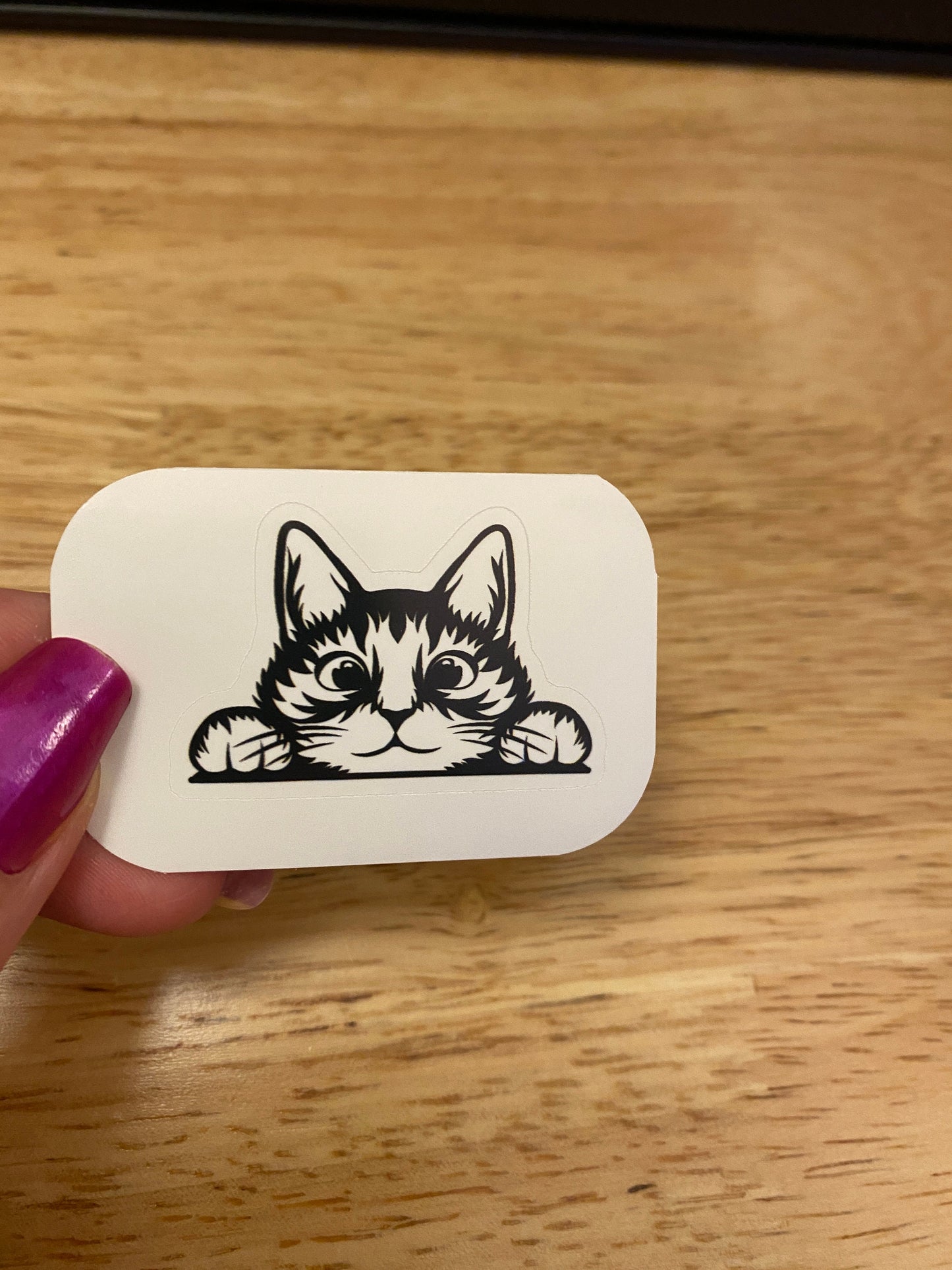 Counter Peeking Cat STICKER