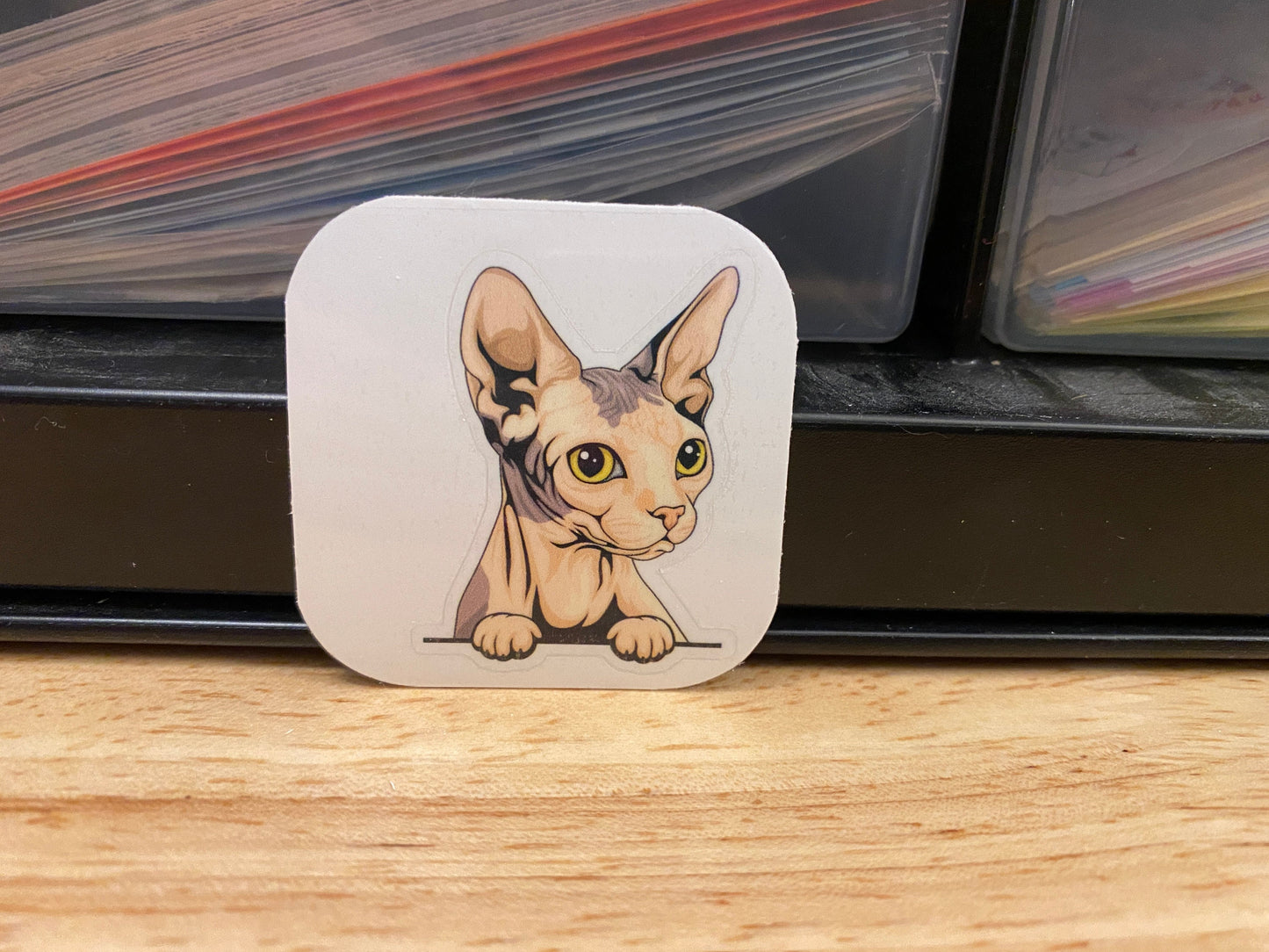 Blue and white Sphynx cat Sticker