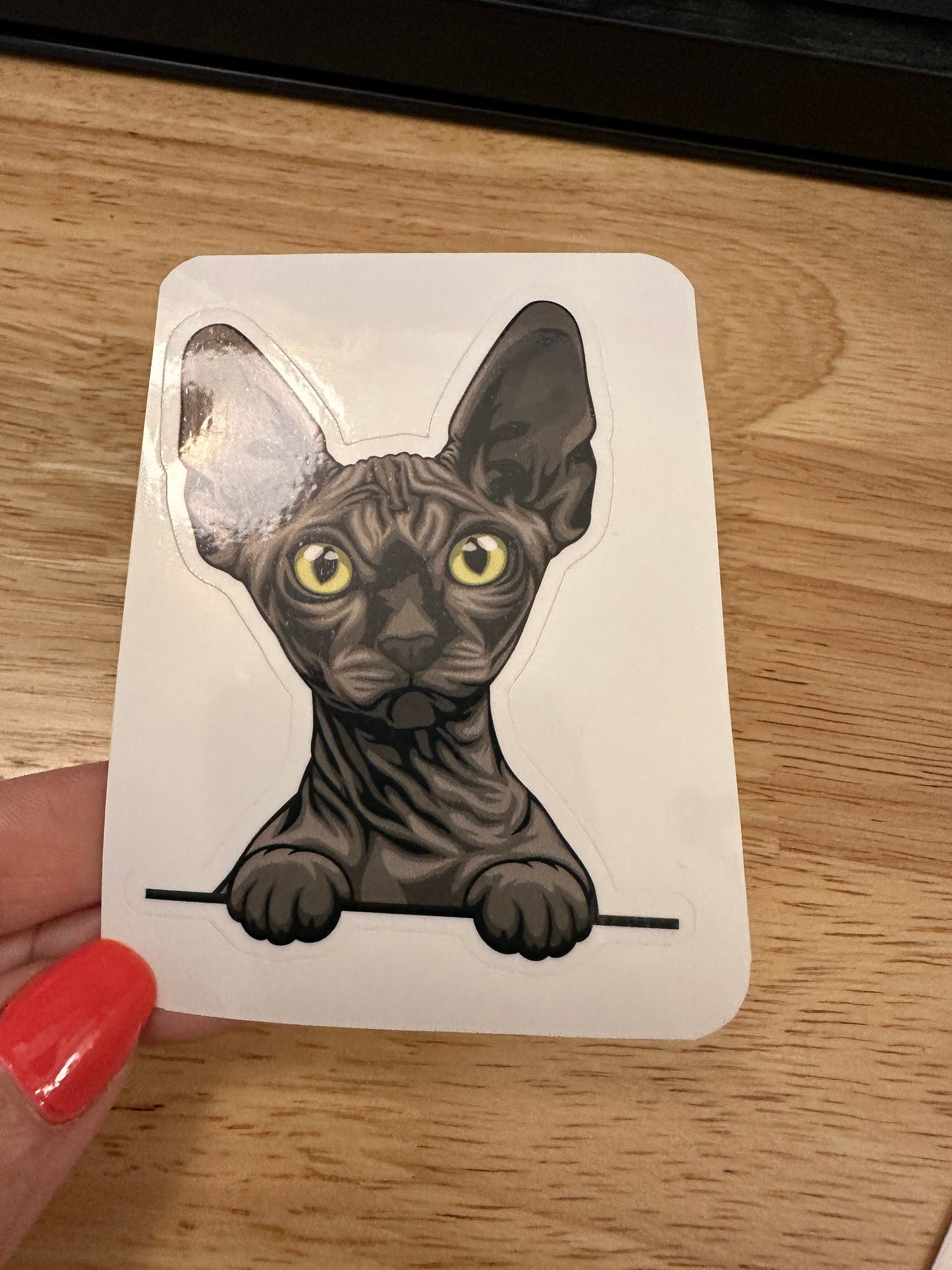 Black Sphynx Cat Sticker, Hairless Grey Cat Sticker, Holographic option, Sphynx Kitty, Black hairless Sticker Cat