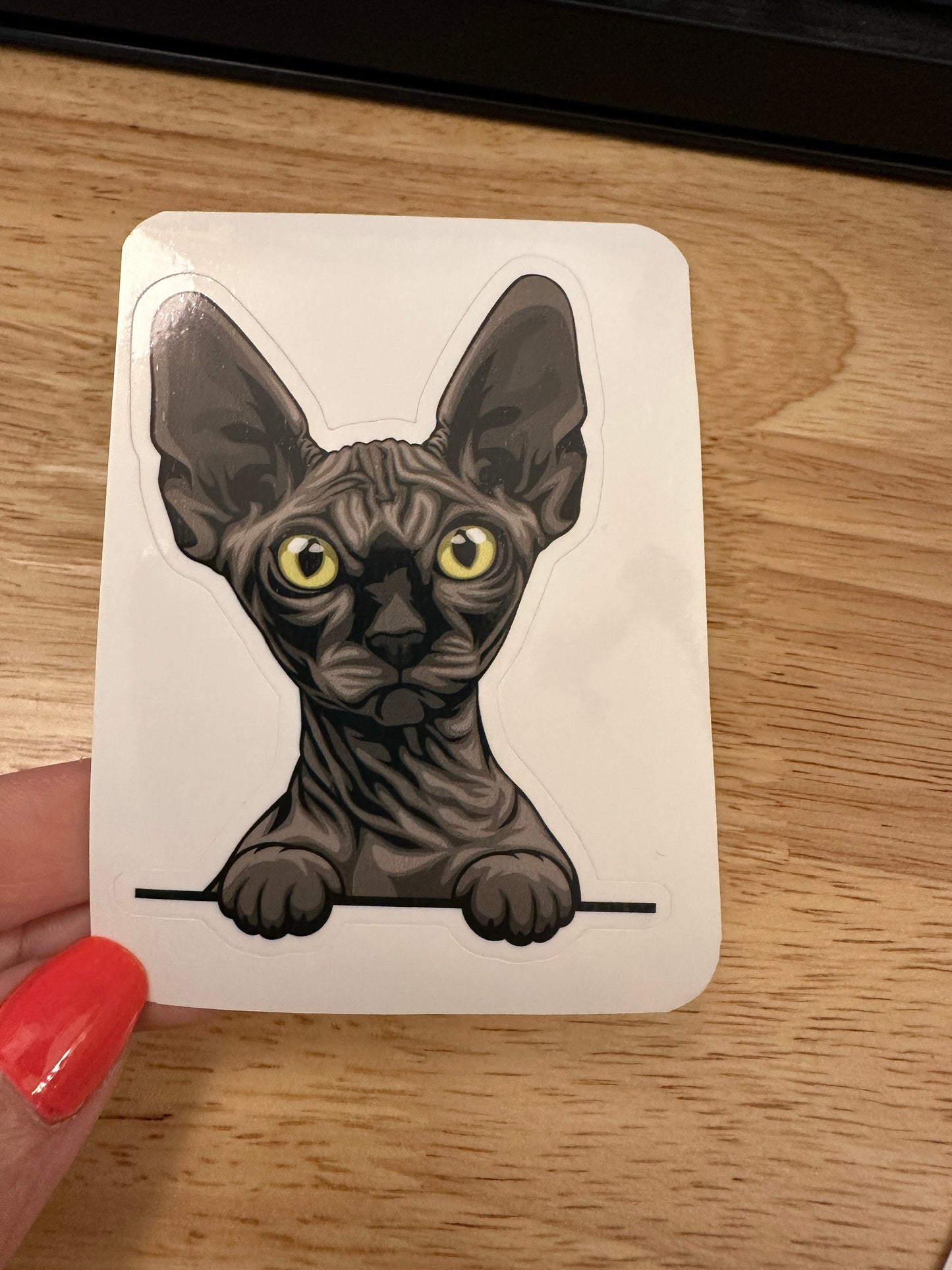 Black Sphynx Cat Sticker, Hairless Grey Cat Sticker, Holographic option, Sphynx Kitty, Black hairless Sticker Cat