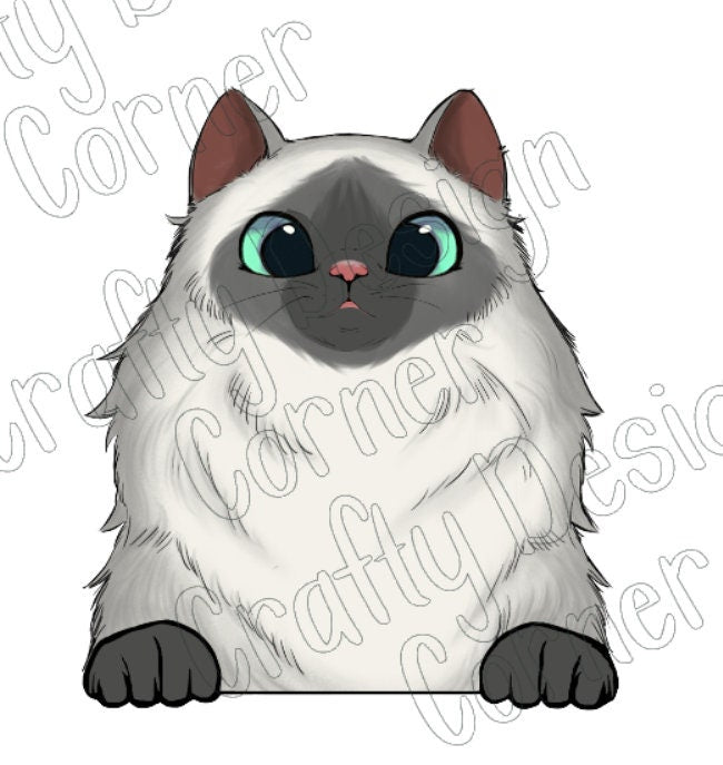 Grey and White Himalayan Cat Sticker, Ragdoll Cat Sticker, White and Gray Faced Cat Sticker, Fluffy Cat sticker, cat with hazel eyes