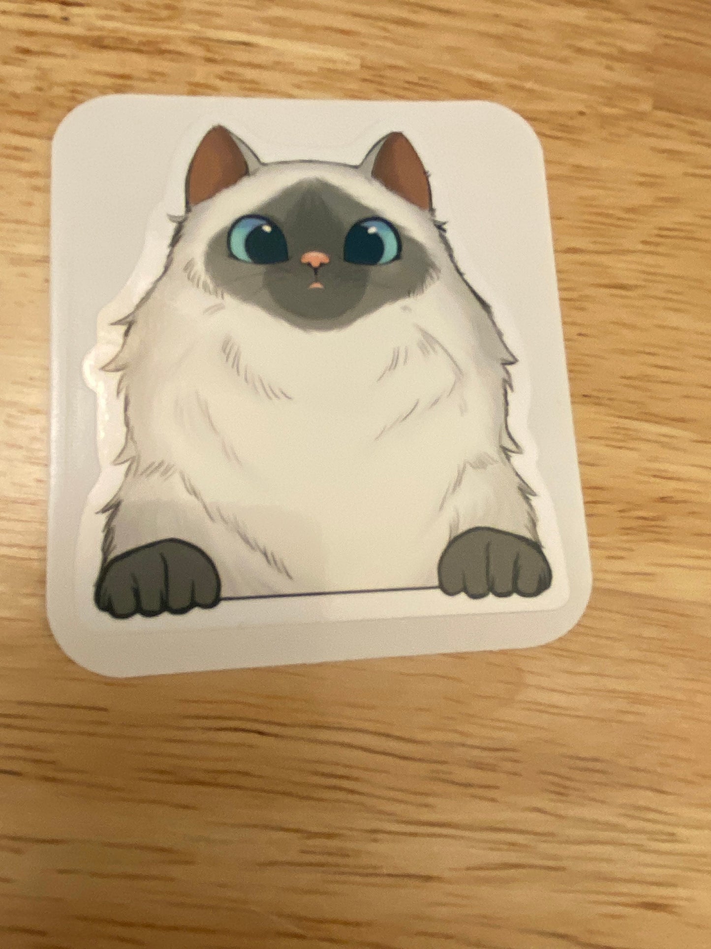 Grey and White Himalayan Cat Sticker, Ragdoll Cat Sticker, White and Gray Faced Cat Sticker, Fluffy Cat sticker, cat with hazel eyes