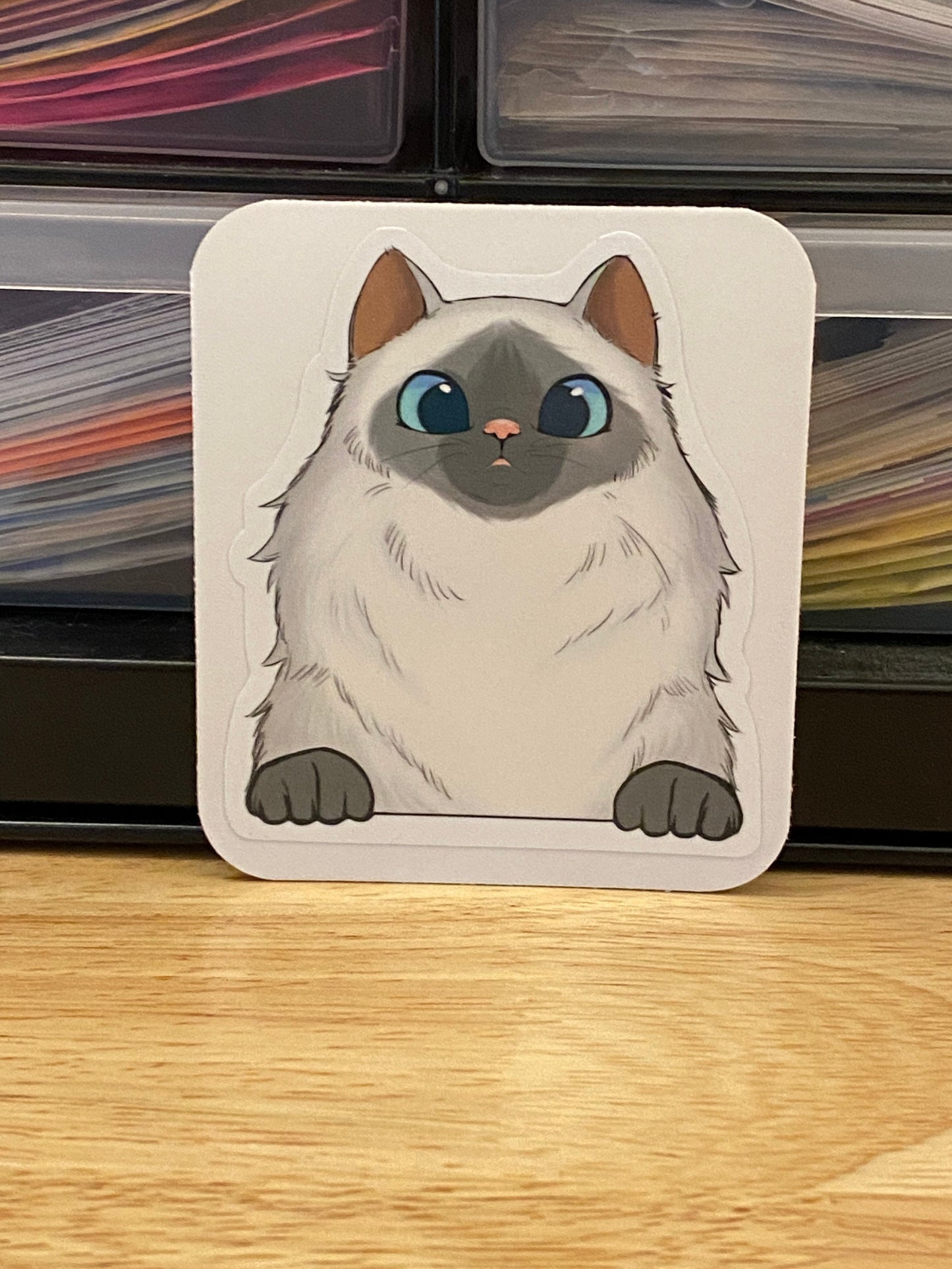 Grey and White Himalayan Cat Sticker, Ragdoll Cat Sticker, White and Gray Faced Cat Sticker, Fluffy Cat sticker, cat with hazel eyes