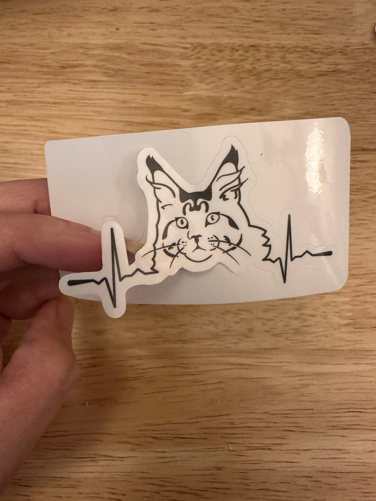 Set of 4 Maine Coon Stickers, Cat Sticker Bundle Stickers, Maine Coon Bigger and Fluffer sticker, Peace Love Maine Coon, Heart Beat Cat