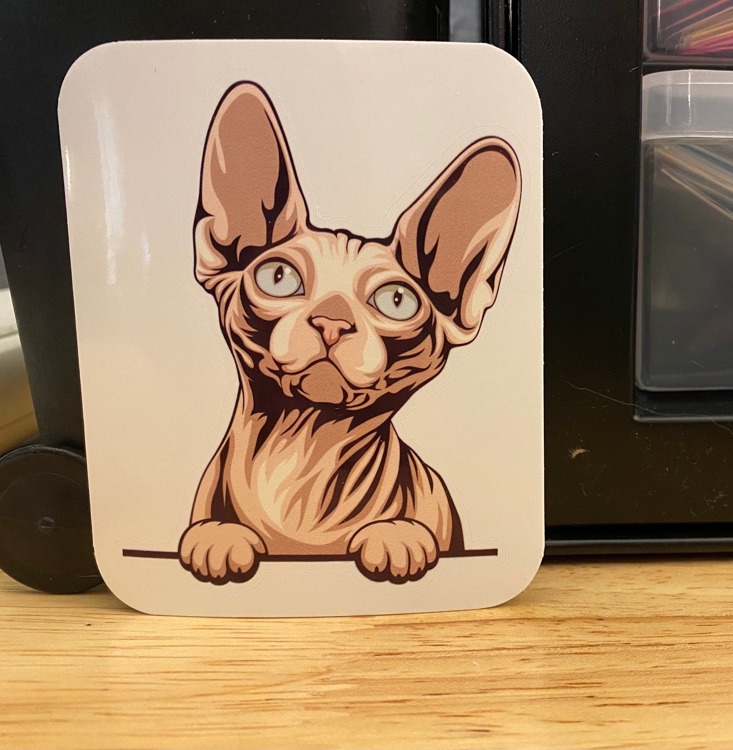 Sphynx Cat STICKER