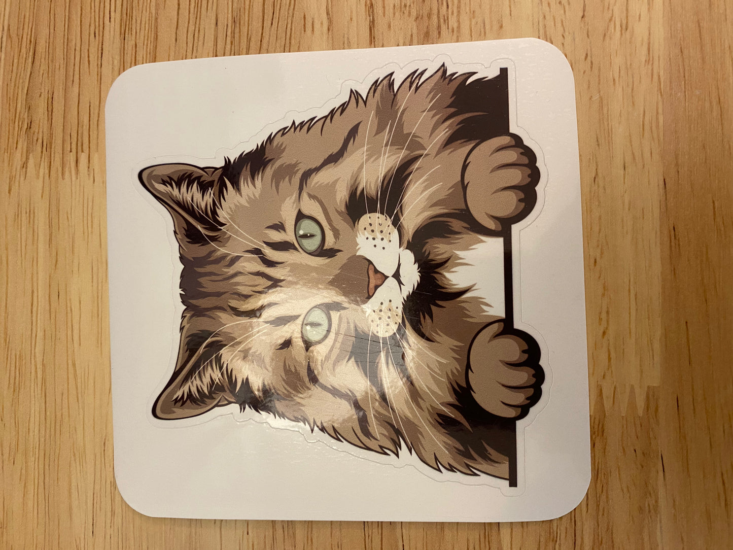 Norwegian forest STICKER