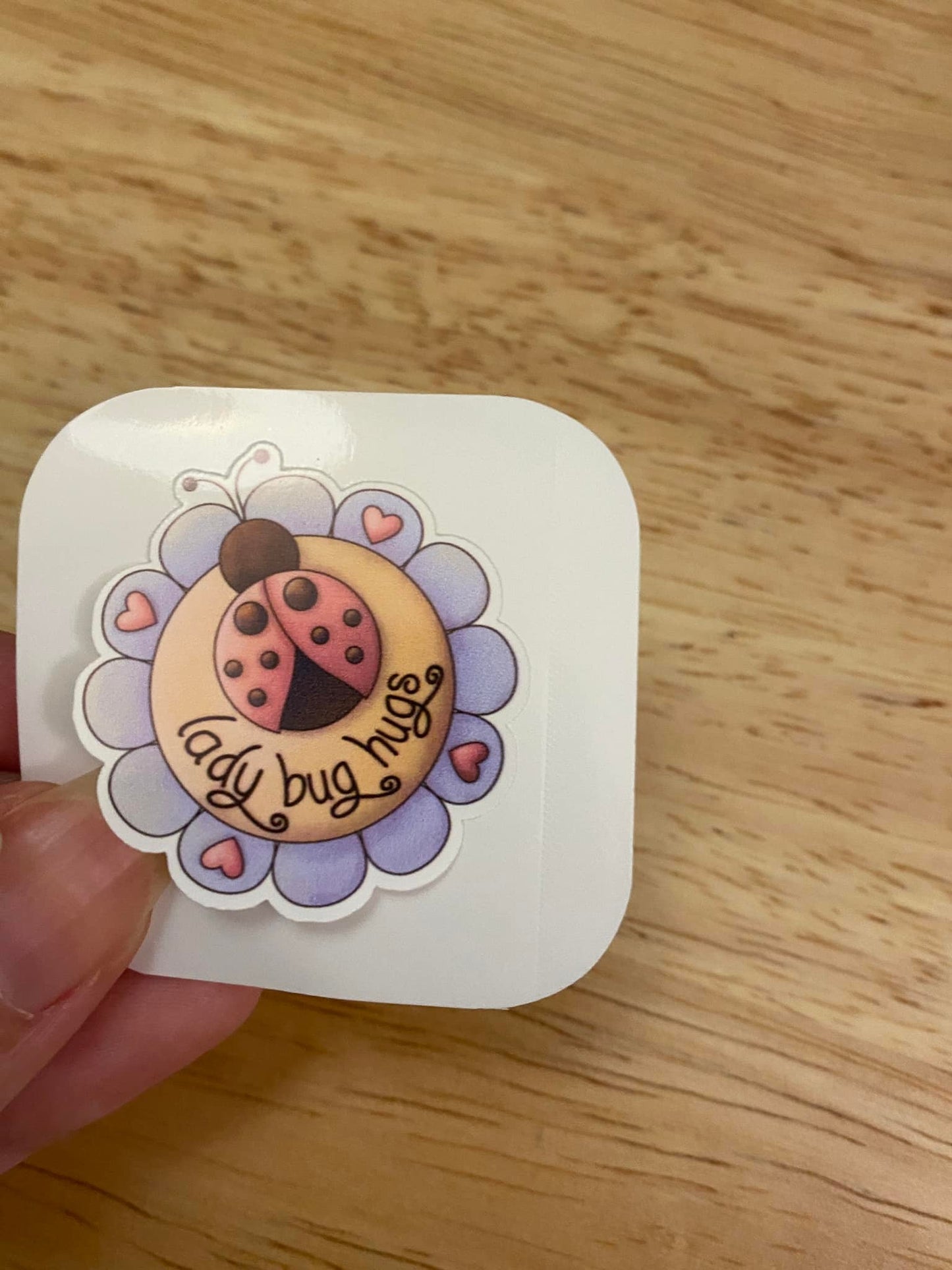 Cute Lady Bug Hugs Sticker