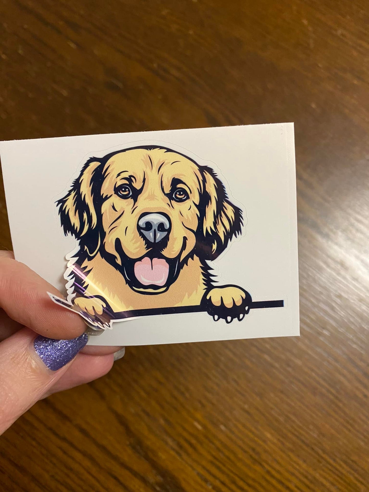 Peeking Golden Retriever Dog STICKER