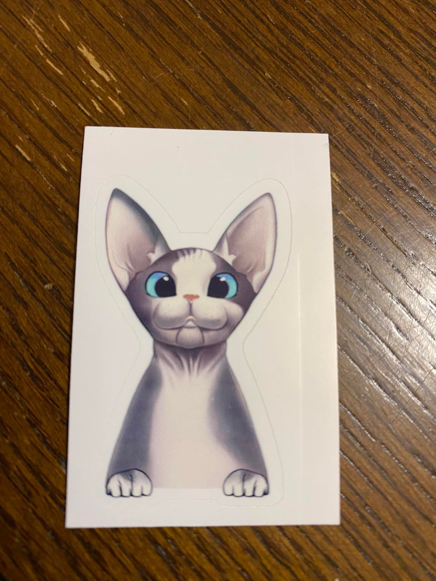 Sphynx Cat STICKER