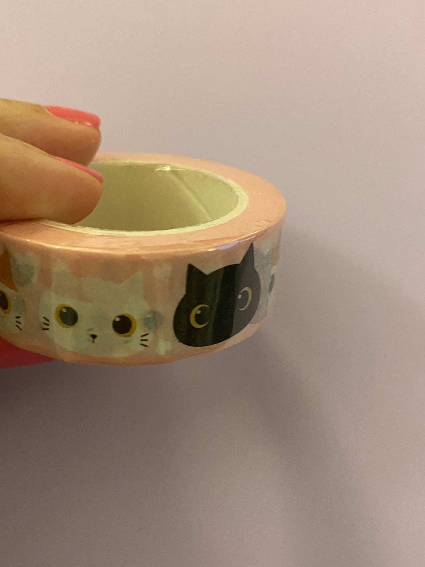 Big Roll of Kawaii Cat Heads Washi Tape
