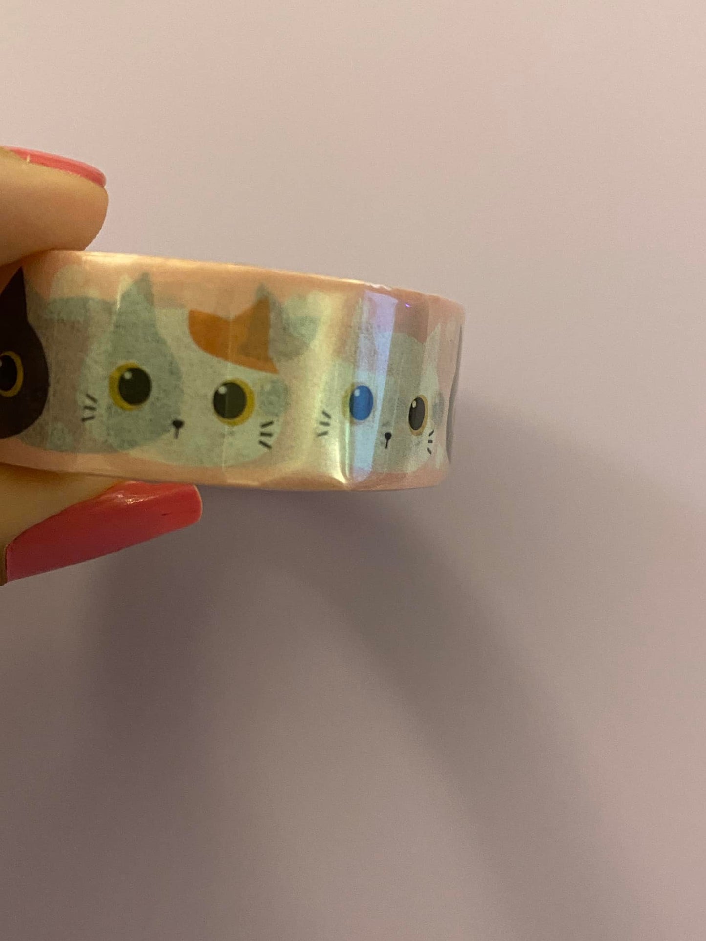 Big Roll of Kawaii Cat Heads Washi Tape