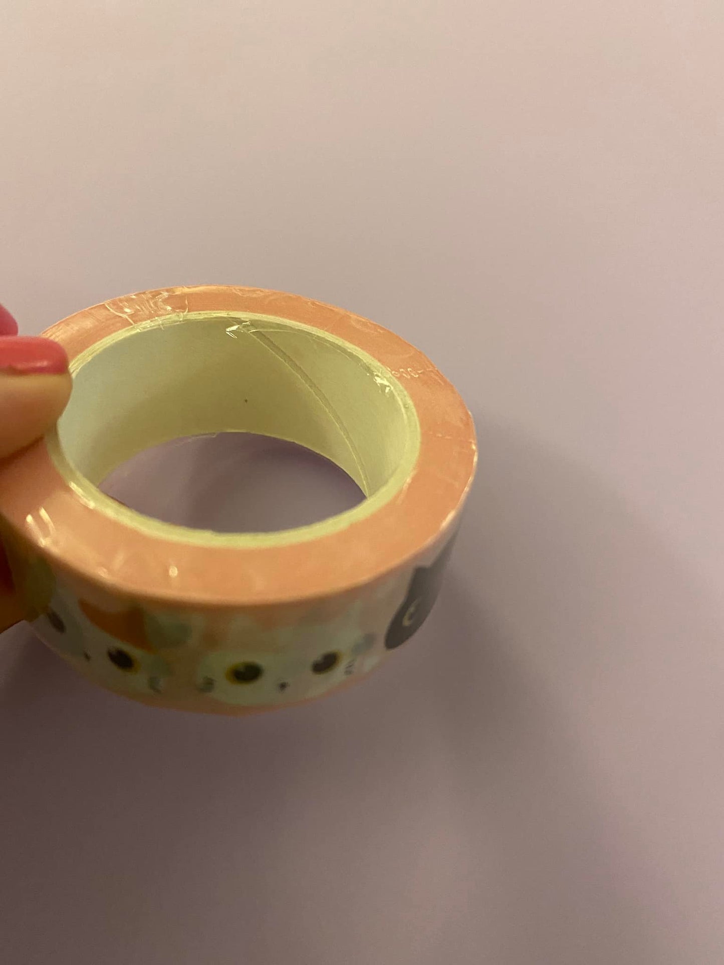 Big Roll of Kawaii Cat Heads Washi Tape