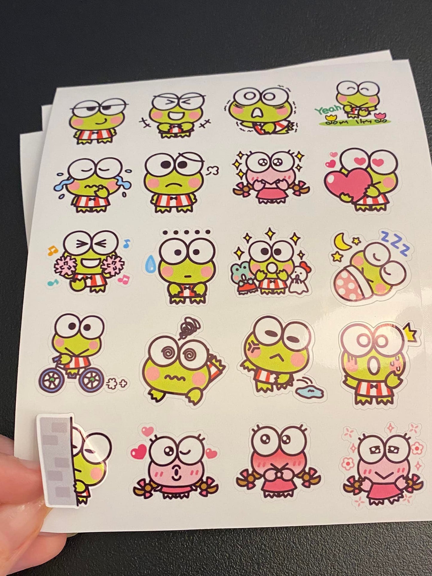 1" Planner Frog Sticker Sheet