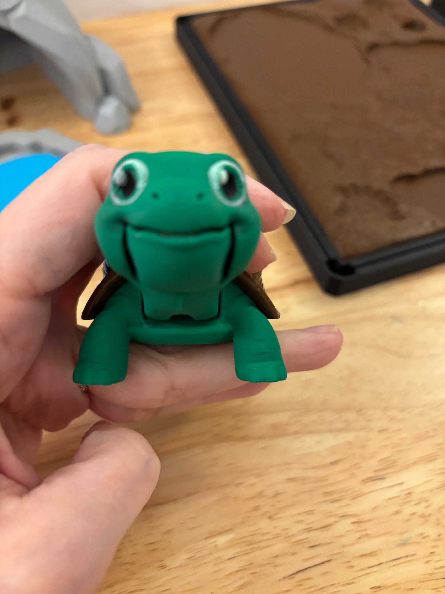 DIY Greek Tortoise terrarium, 3D printed tiny terrarium with tortie