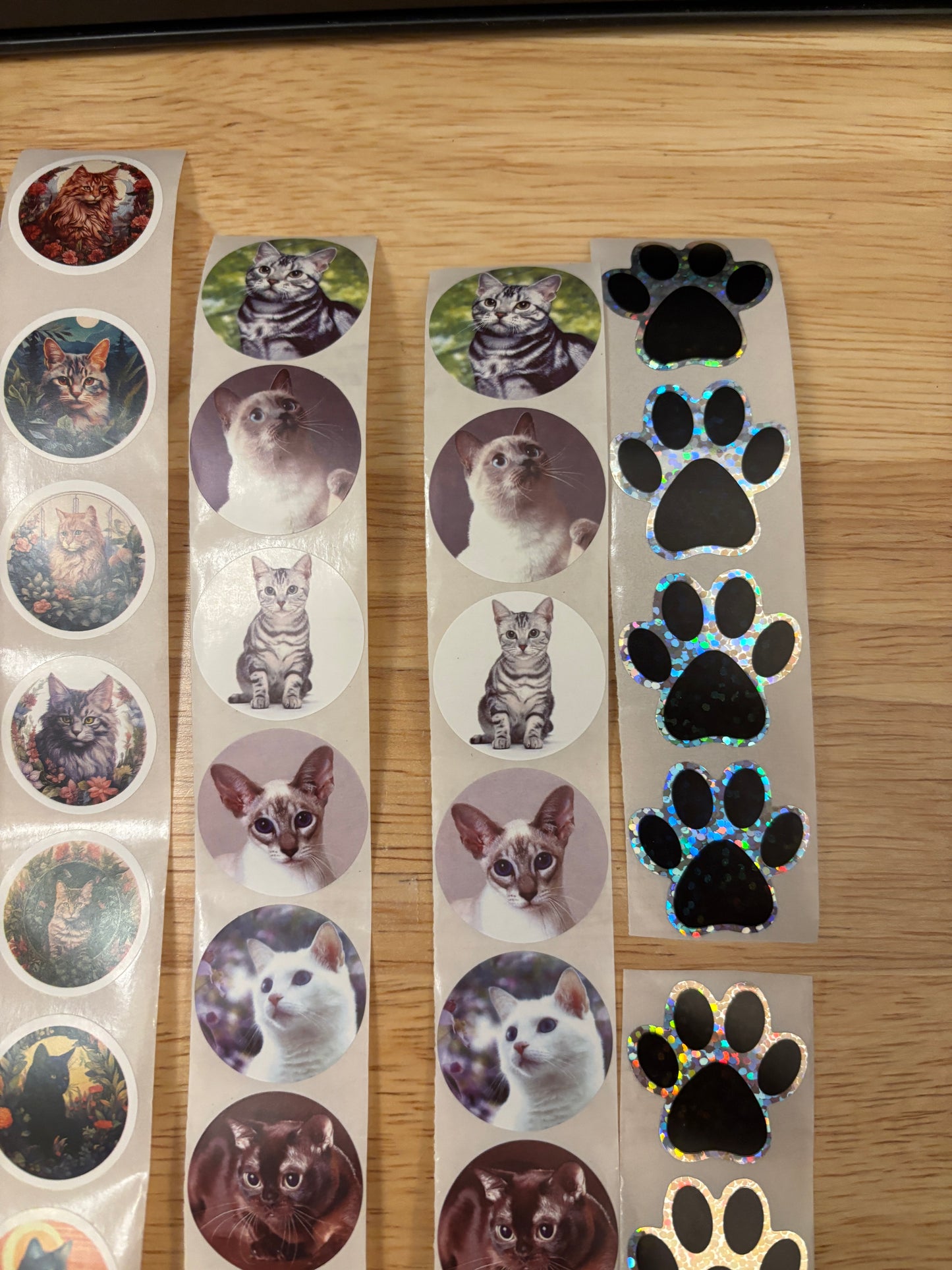 Cat Photos Sticker Pack