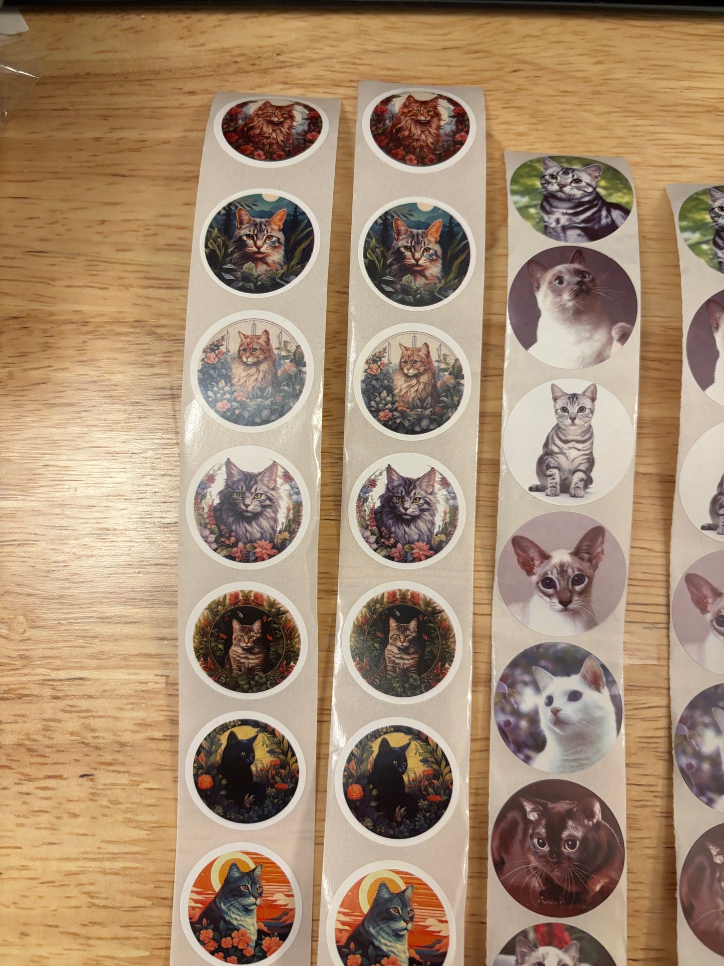 Cat Photos Sticker Pack