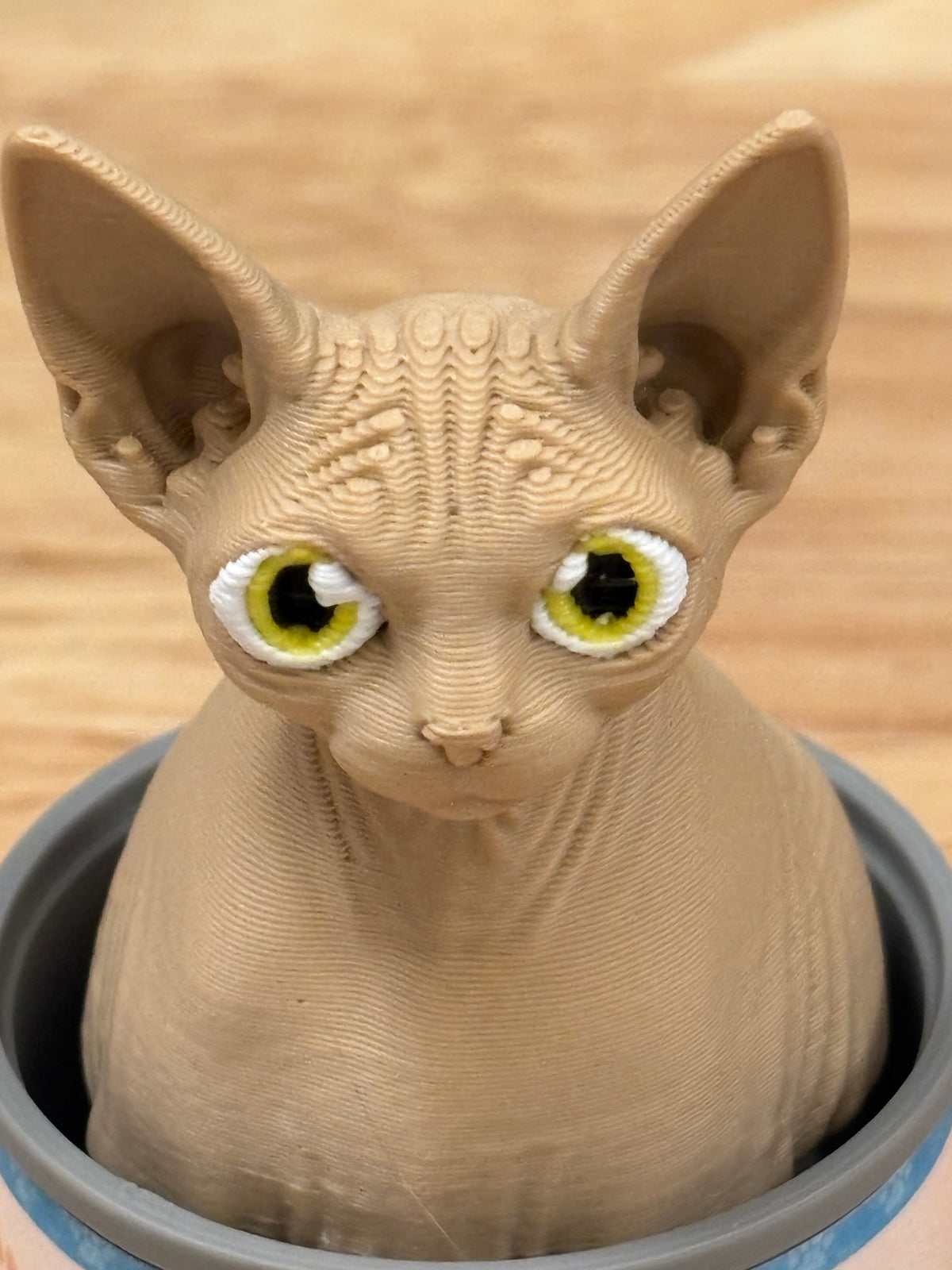 Desktop Sphynx Cat clicker, Cat clicker, Cat in Can clicker, Sphynx Cat Clicker in Can