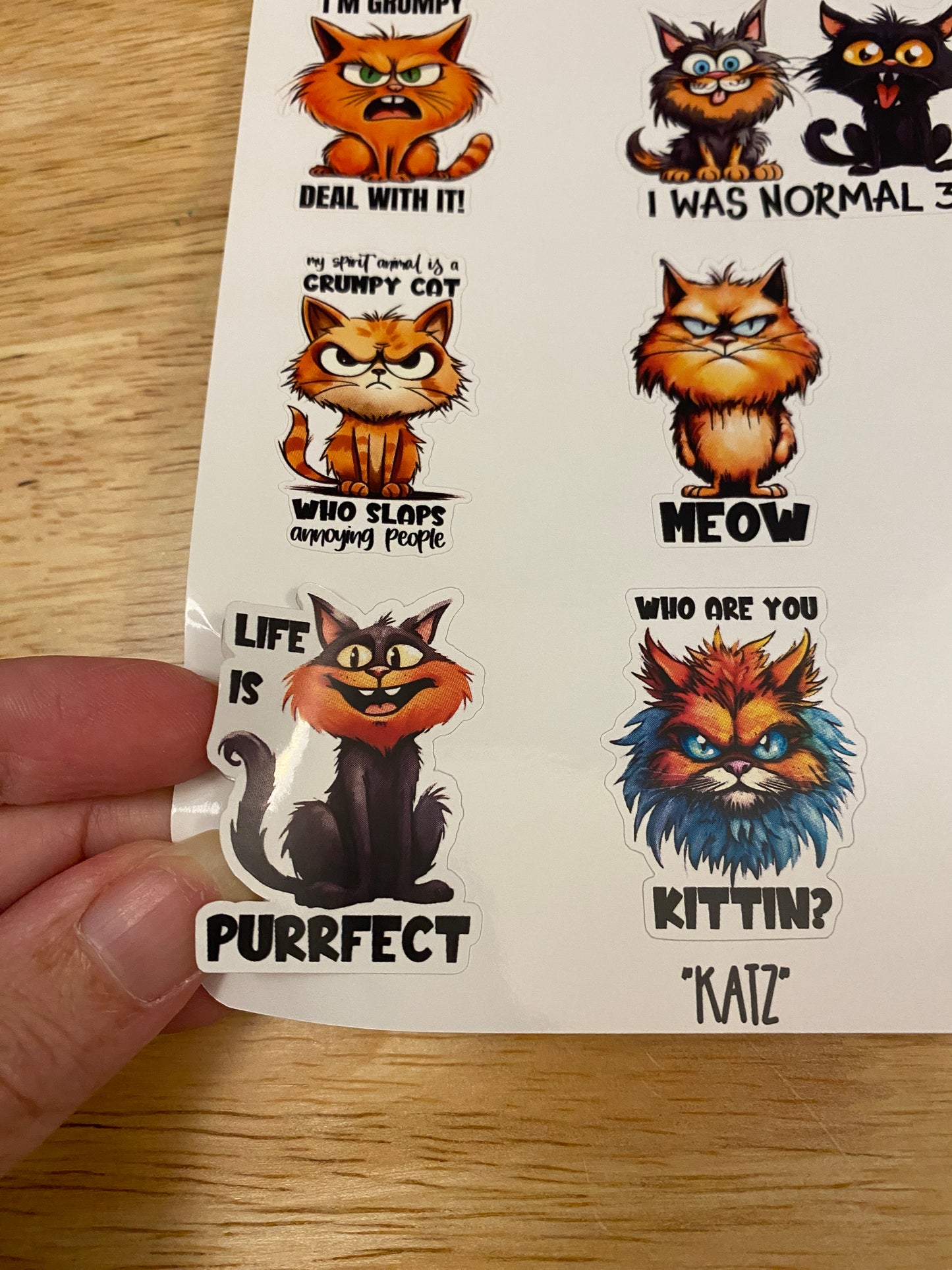 Funny Cat Sticker Sheet, Cat stickers, Sarcasm stickers, sarcastic cats