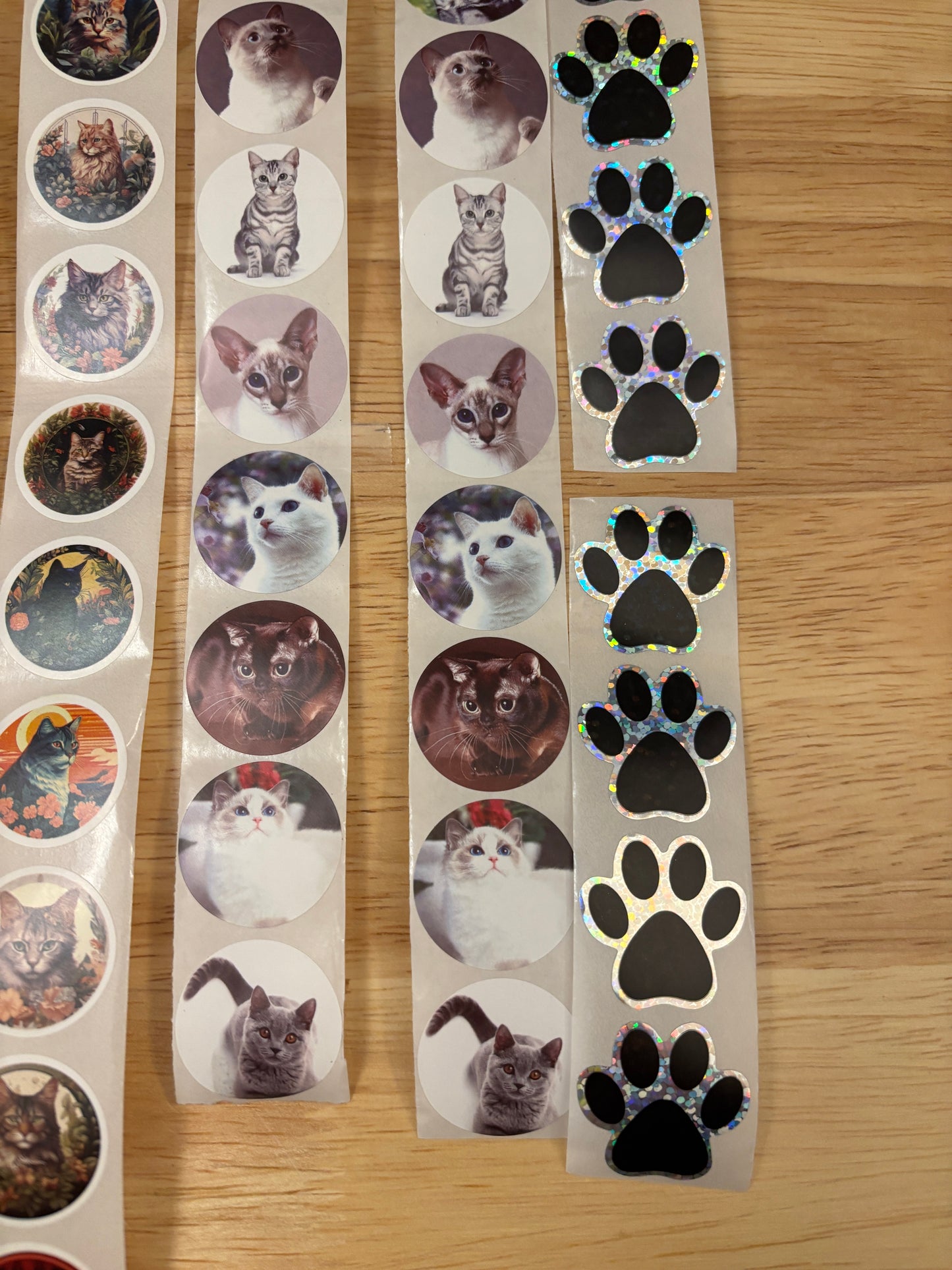 Cat Photos Sticker Pack