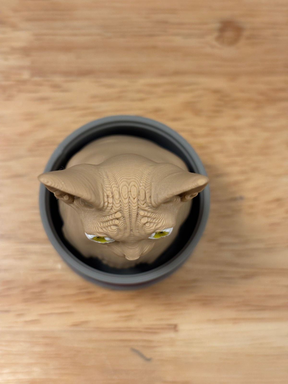 Desktop Sphynx Cat clicker, Cat clicker, Cat in Can clicker, Sphynx Cat Clicker in Can