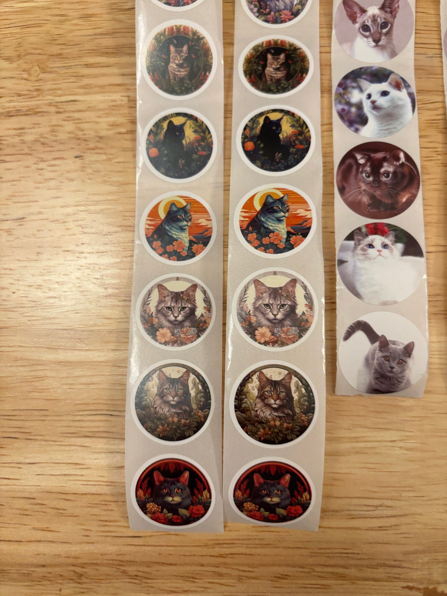 Cat Photos Sticker Pack