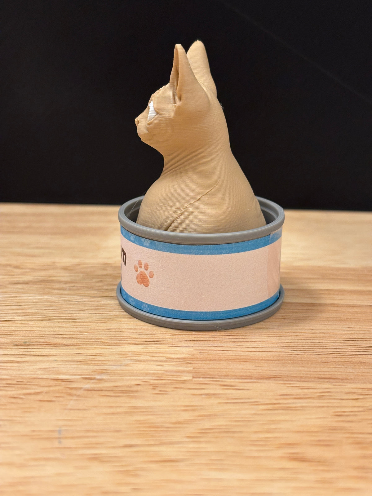 Desktop Sphynx Cat clicker, Cat clicker, Cat in Can clicker, Sphynx Cat Clicker in Can