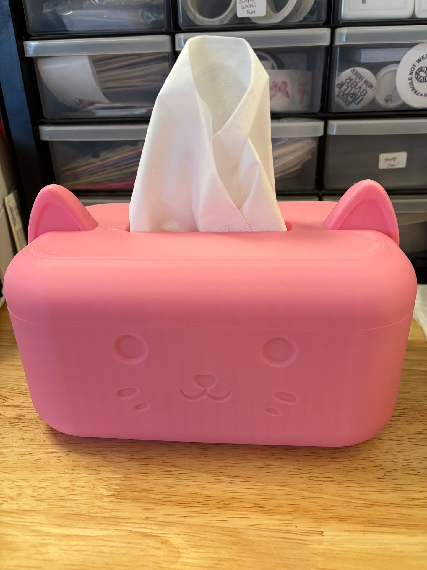 Cat Faced Tissue Box, 3D printed Cat tissue box