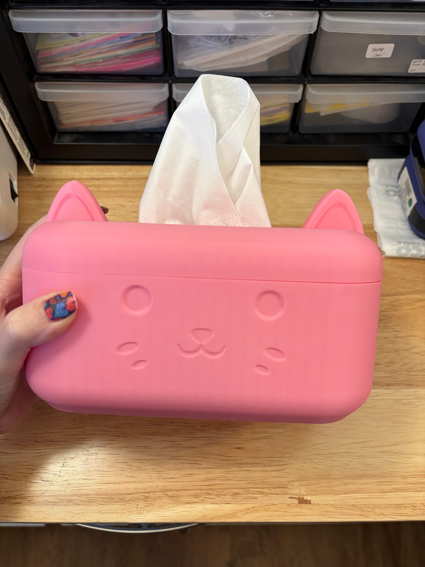 Cat Faced Tissue Box, 3D printed Cat tissue box