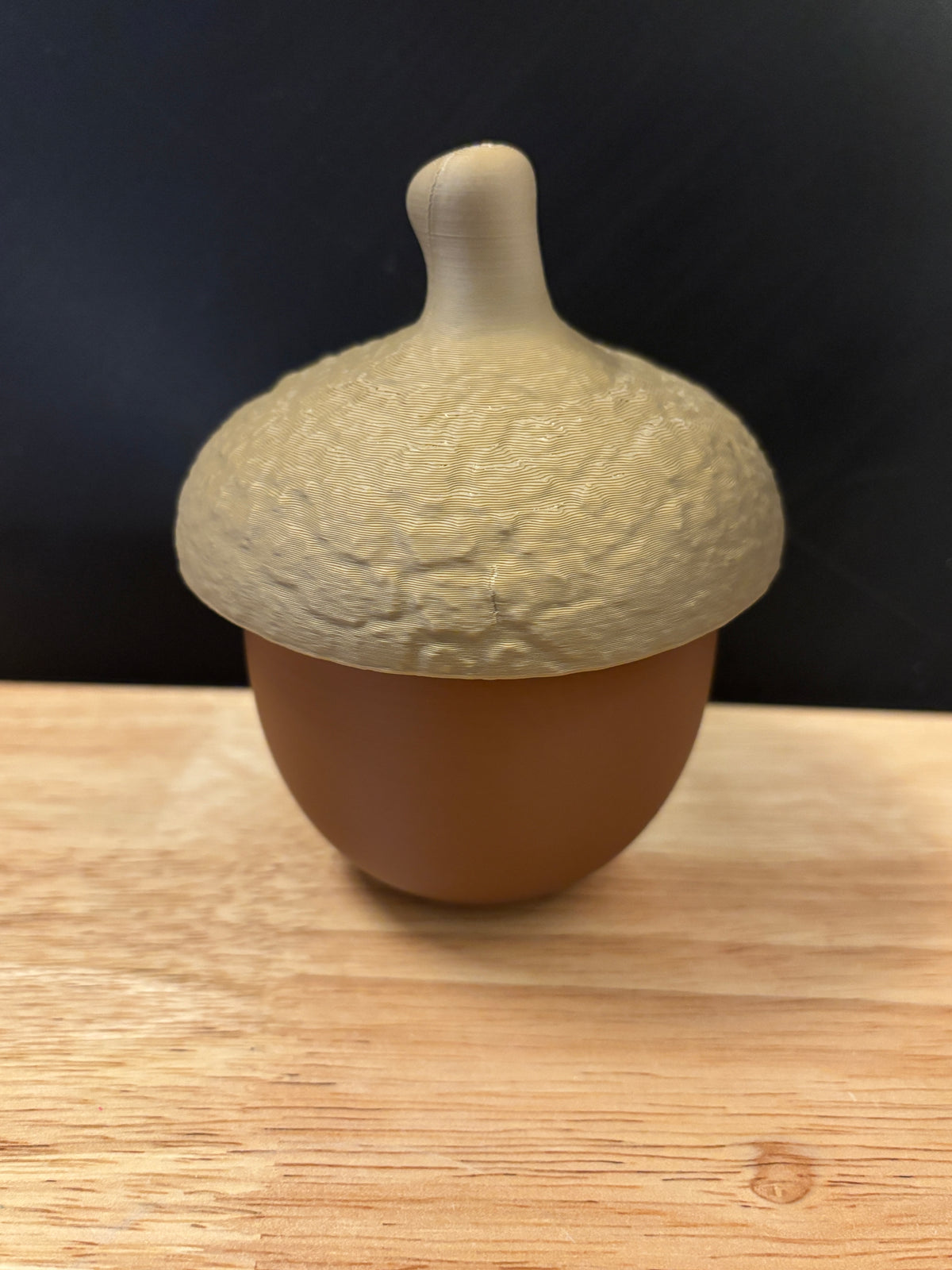 Custom Acorn holder, Customizable Acorn, 3D Printed Acorn Holder with lid, Cute Acorn holder, Acorn holder