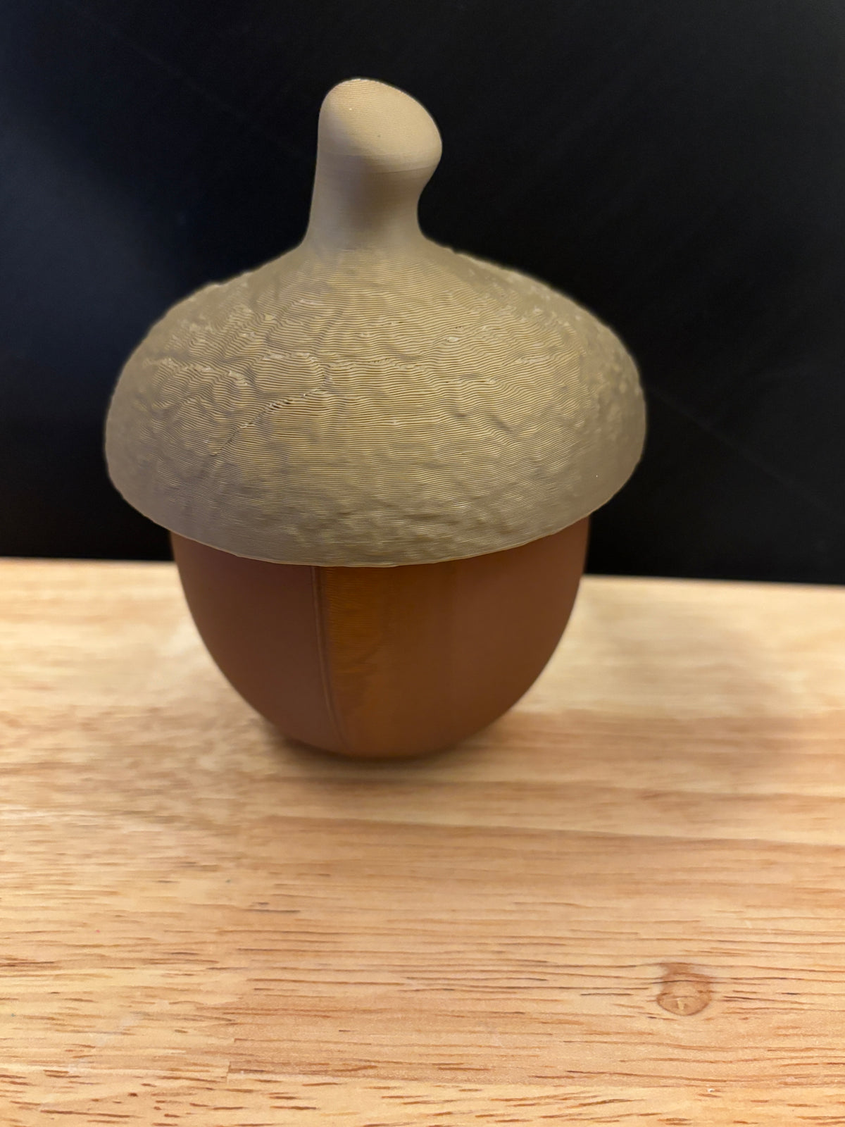 Custom Acorn holder, Customizable Acorn, 3D Printed Acorn Holder with lid, Cute Acorn holder, Acorn holder