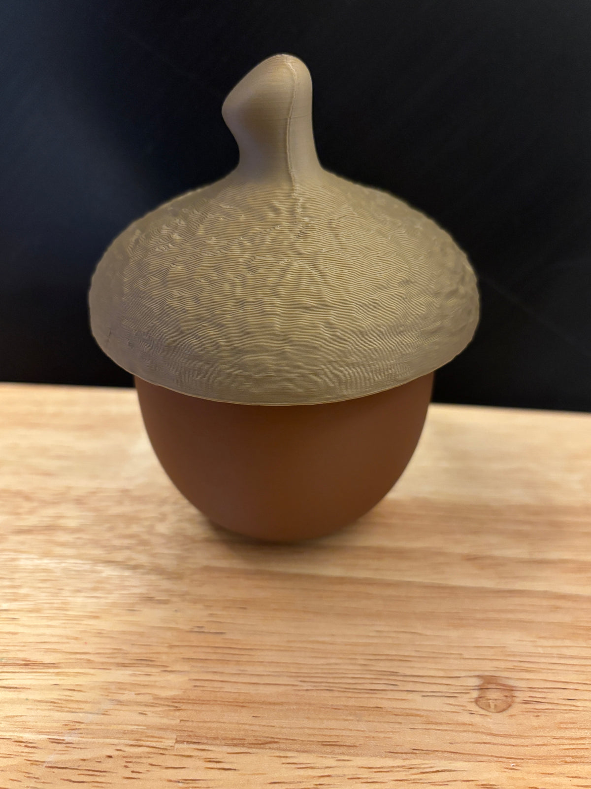 Custom Acorn holder, Customizable Acorn, 3D Printed Acorn Holder with lid, Cute Acorn holder, Acorn holder