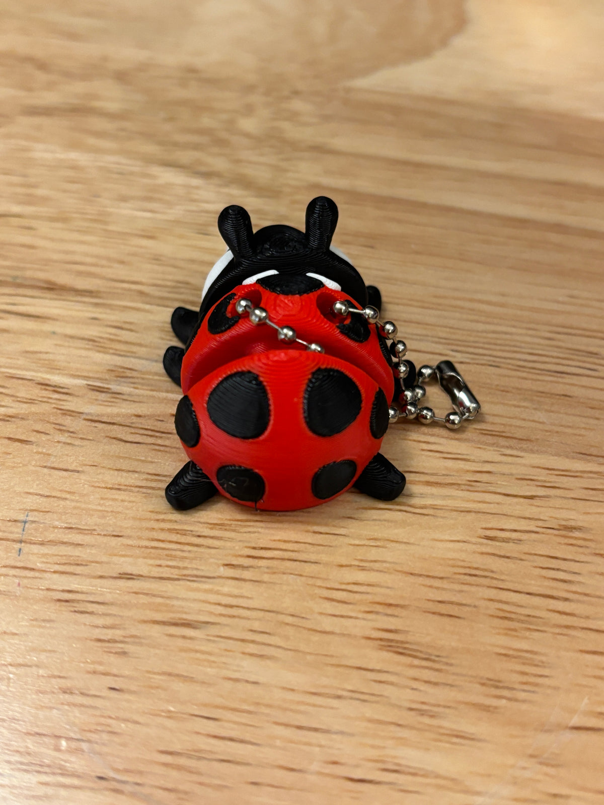 Lady Bug Keychain, 3D printed Lady bug, Ladybug keychain, Big Eye Ladybug Keychain, 3d printed keychain lady bug, Cute Keychain