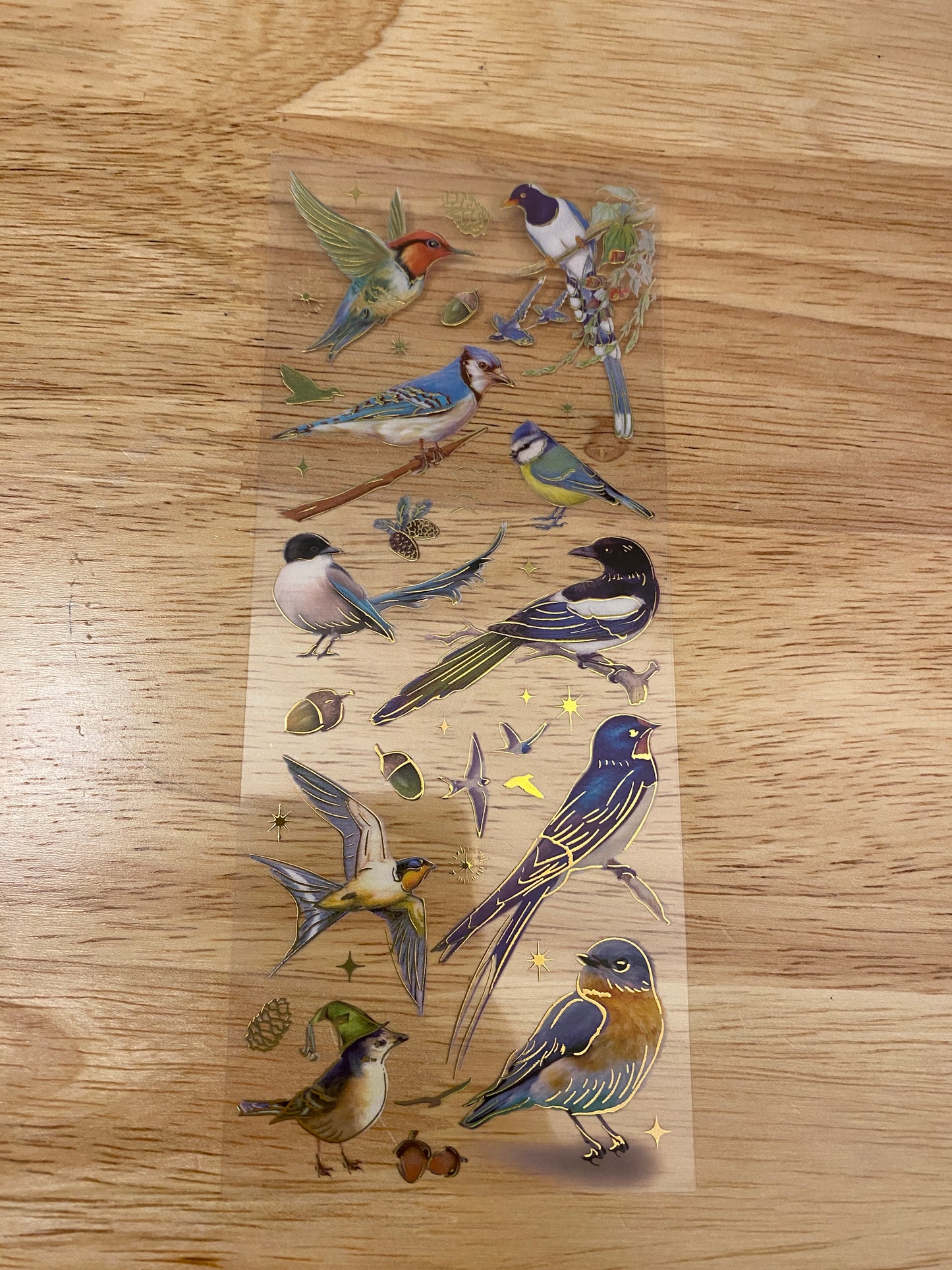 PET Foil Clear Tape with Blue Birds