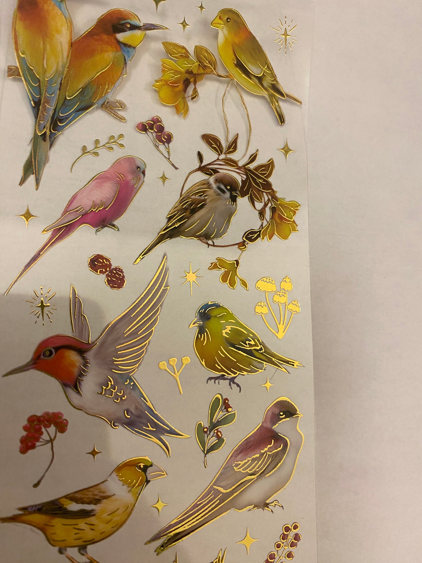 PET Foil Clear Tape with Red Birds