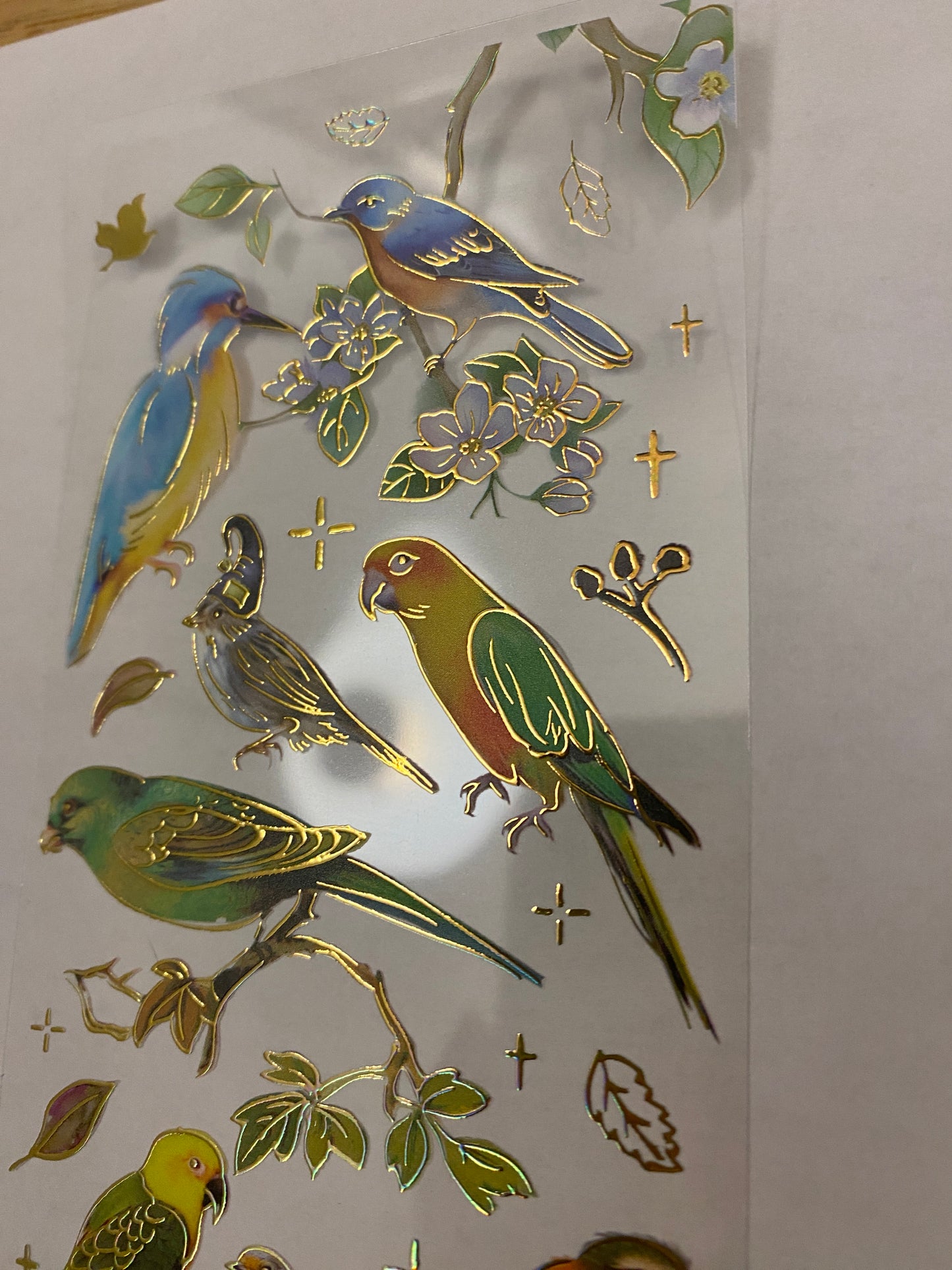 PET Foil Clear Tape with Green Birds