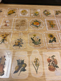 20 piece PET Clear Yellow Flowers Stamp Stickers