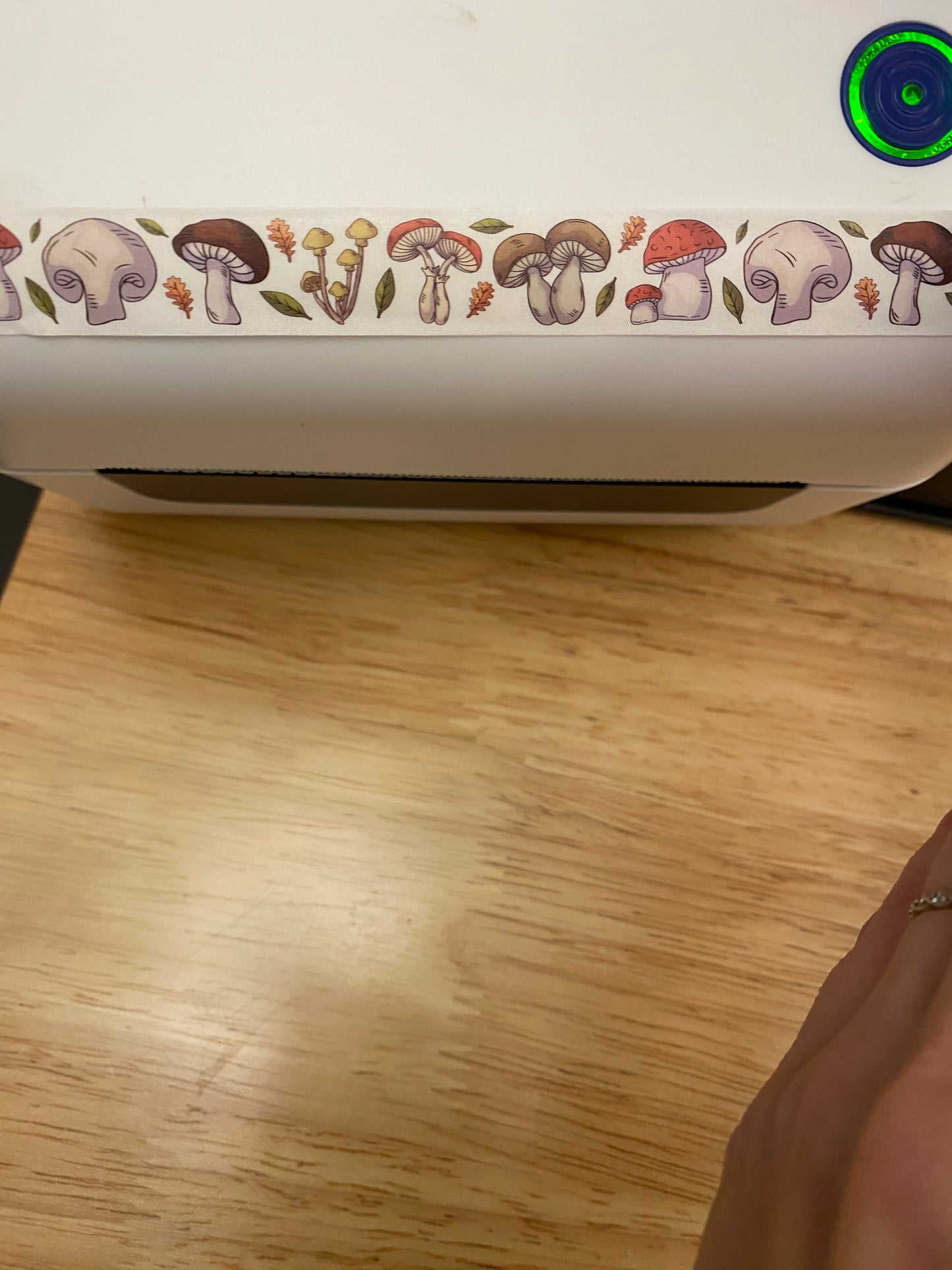 Big Roll of BignSmall Mushrooms Washi Tape