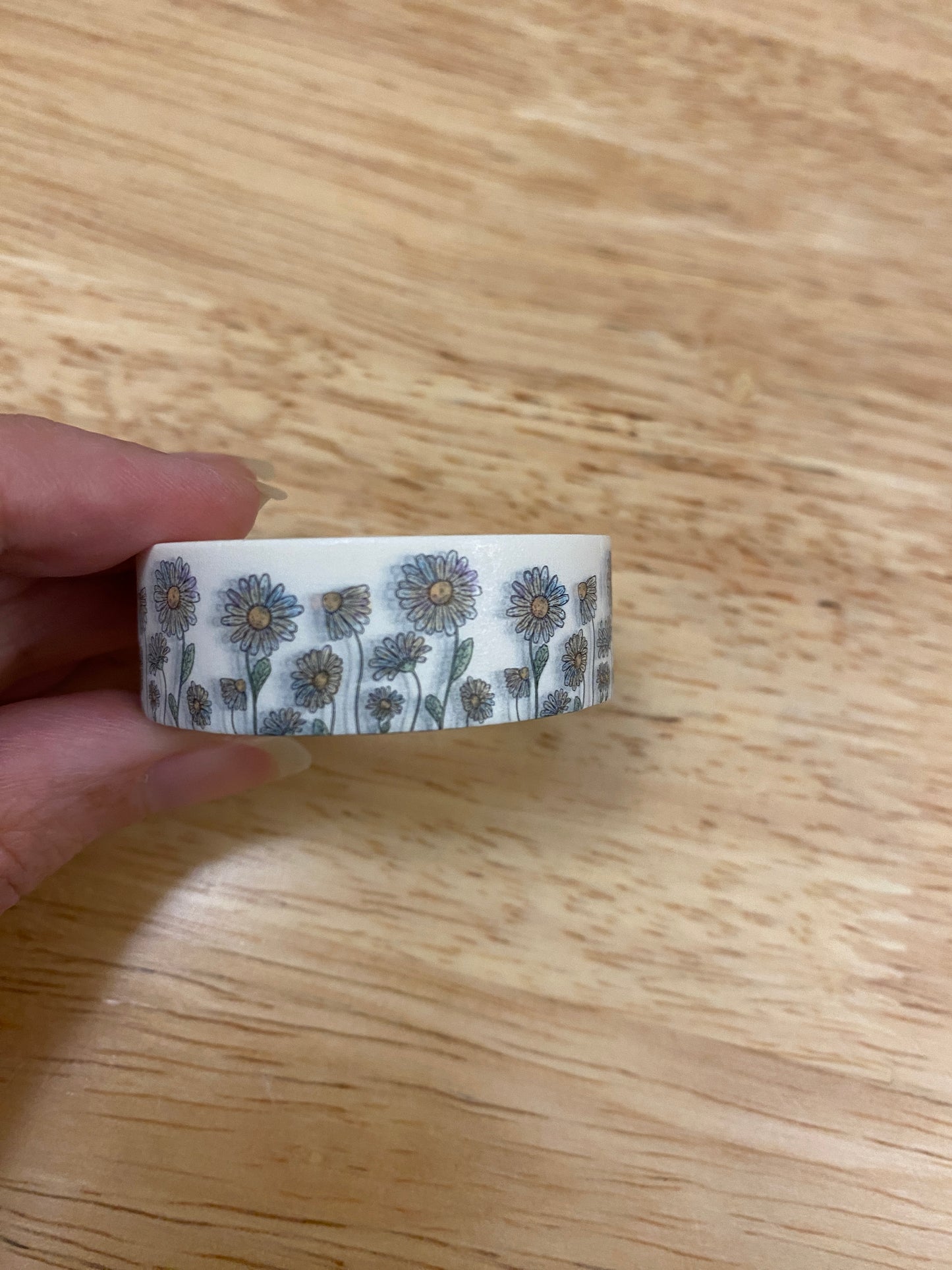Big Roll of Stemmed Daisy of all sizes Washi Tape