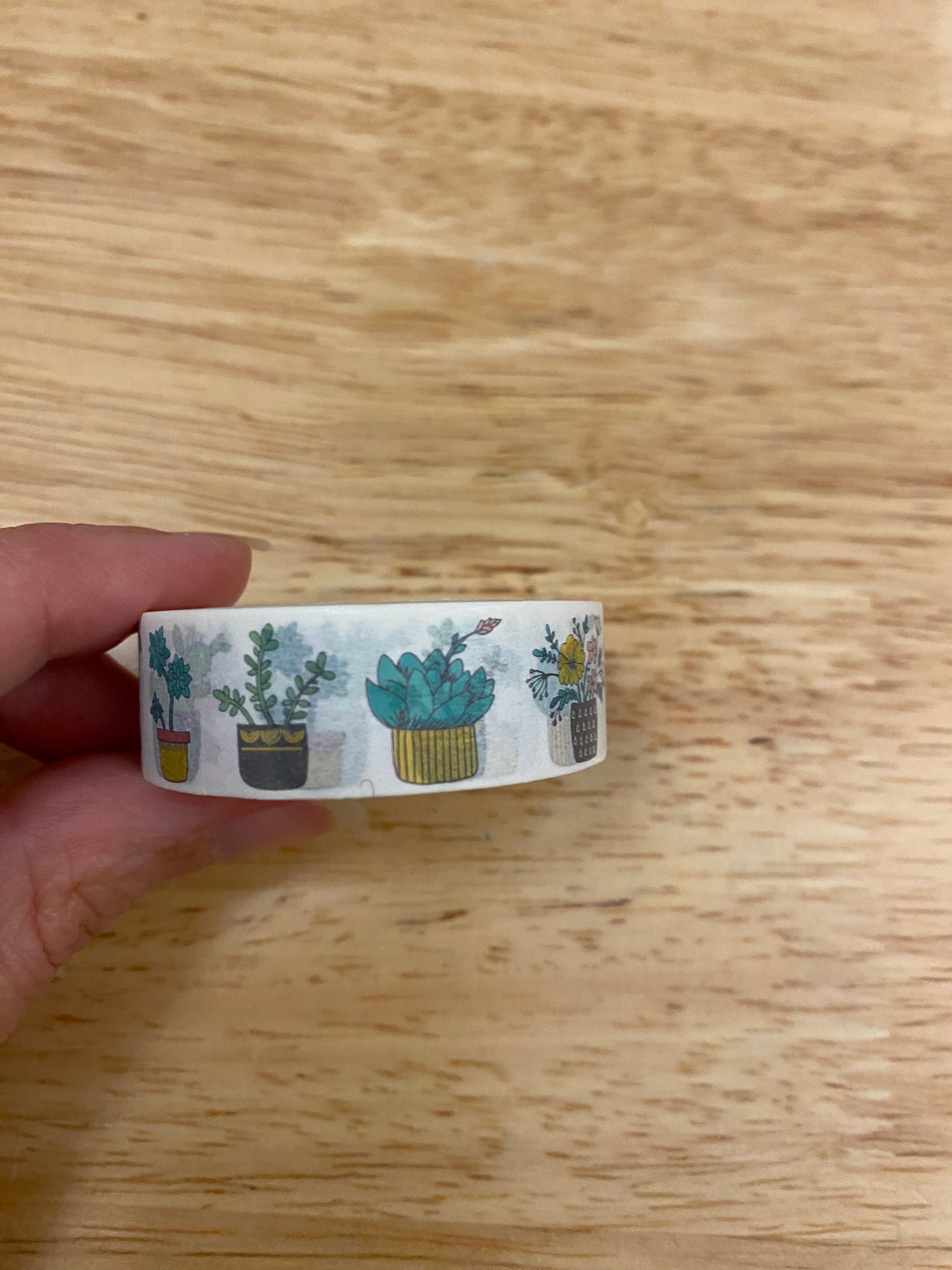 Big Roll of Plants in Vases Washi Tape