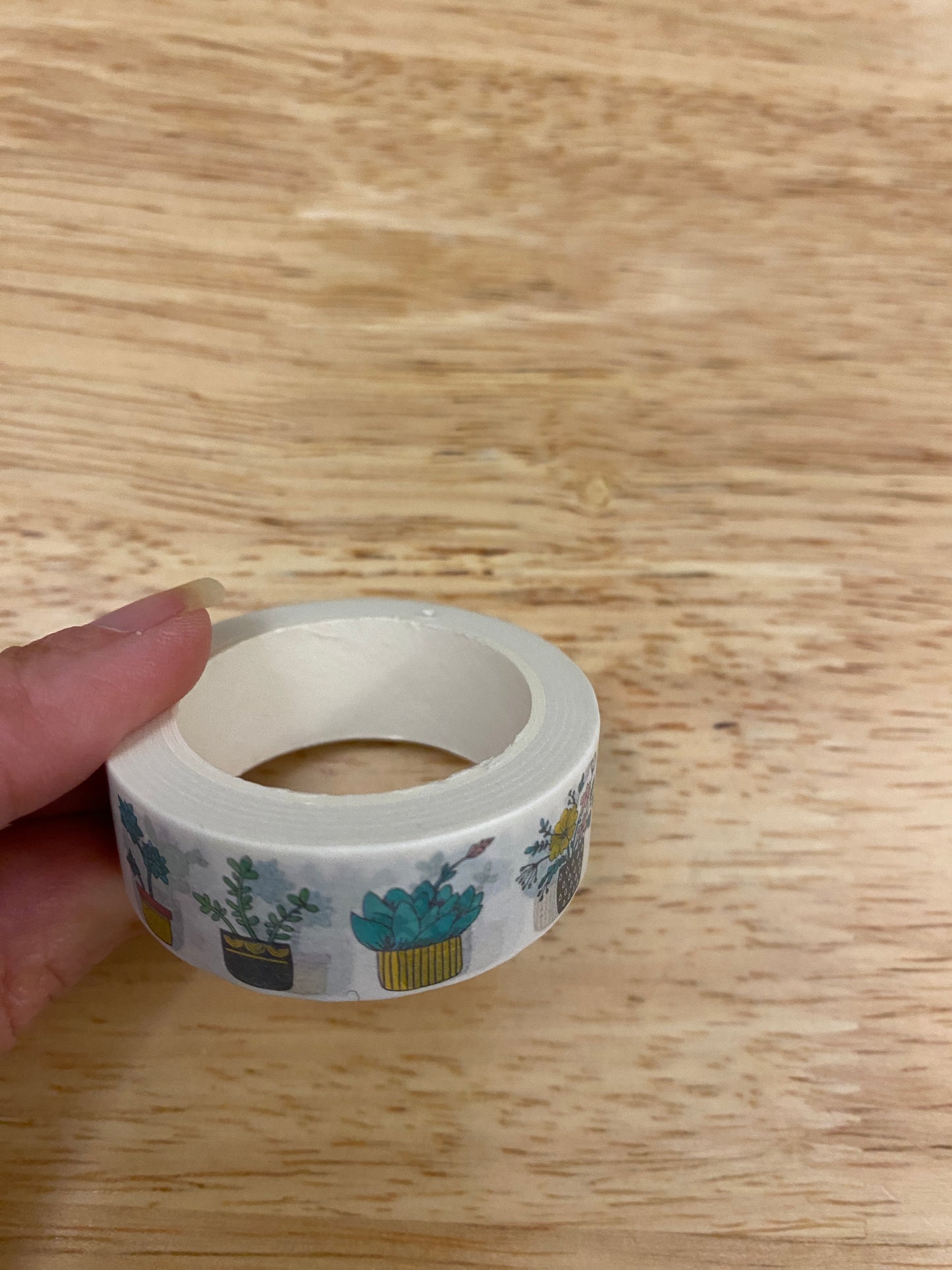 Big Roll of Plants in Vases Washi Tape