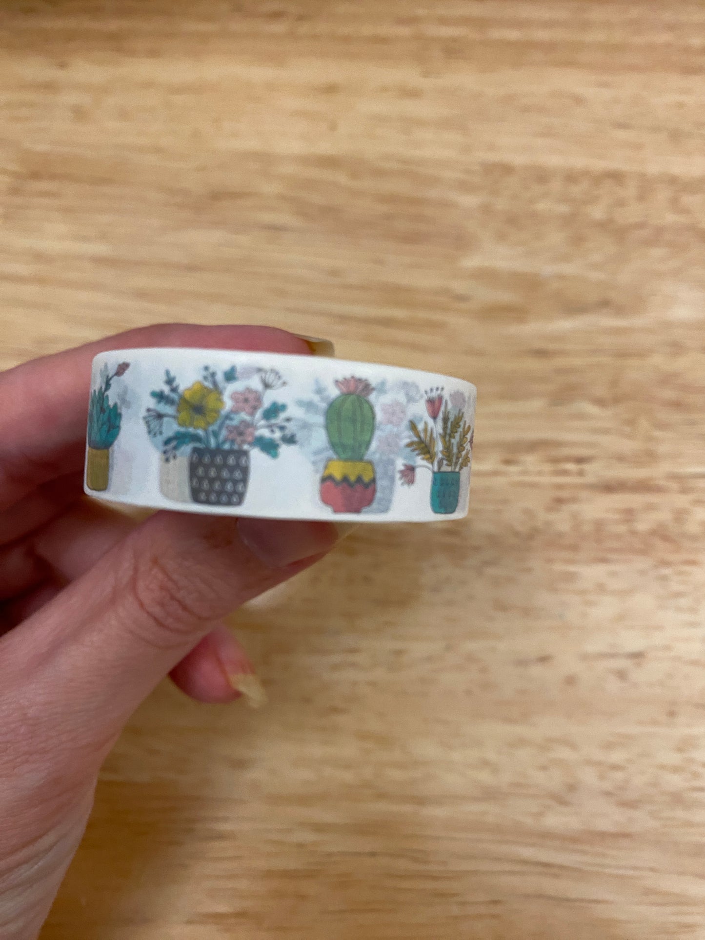 Big Roll of Plants in Vases Washi Tape