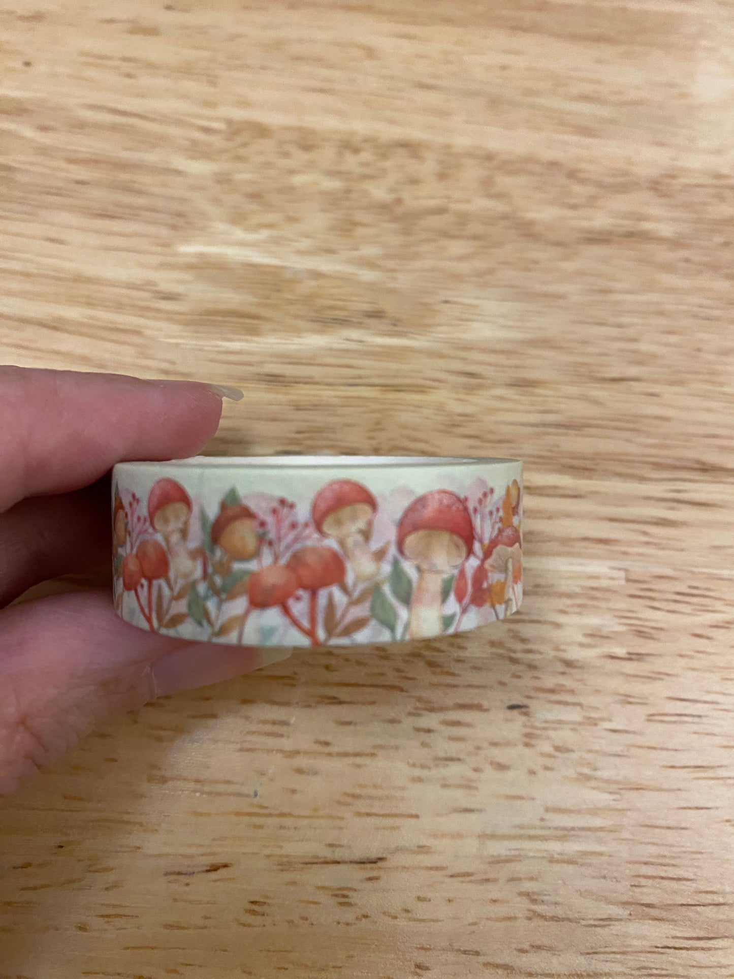 Assorted Red Spotted Mushrooms Washi Tape, Big Red and White Mushrooms Washi Tape, Mushrooms Washi Tape roll, Mushroom Washi Tape