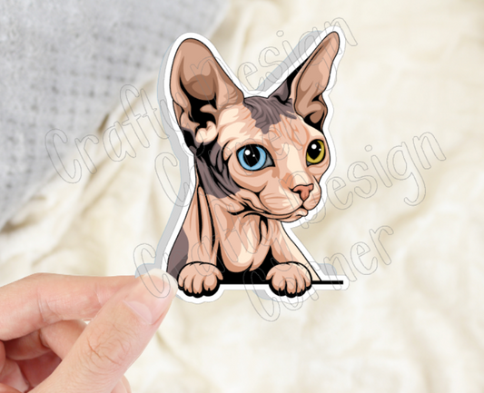 Odd Eye Sphynx cat, Hairless Cat Sticker, Holographic option, Cute Cat Design Sticker, Sphynx Kitty, Beige Cat