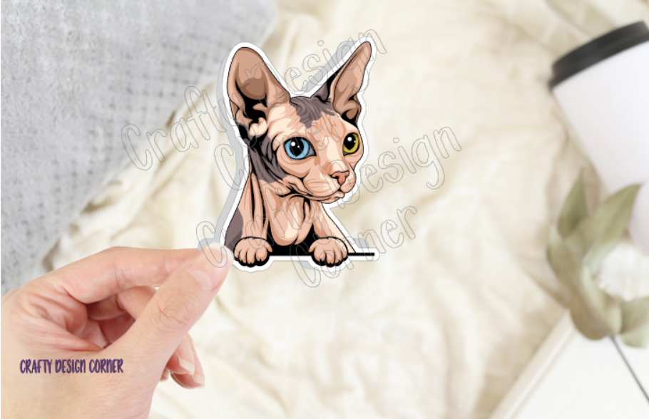 Odd Eye Sphynx cat, Hairless Cat Sticker, Holographic option, Cute Cat Design Sticker, Sphynx Kitty, Beige Cat