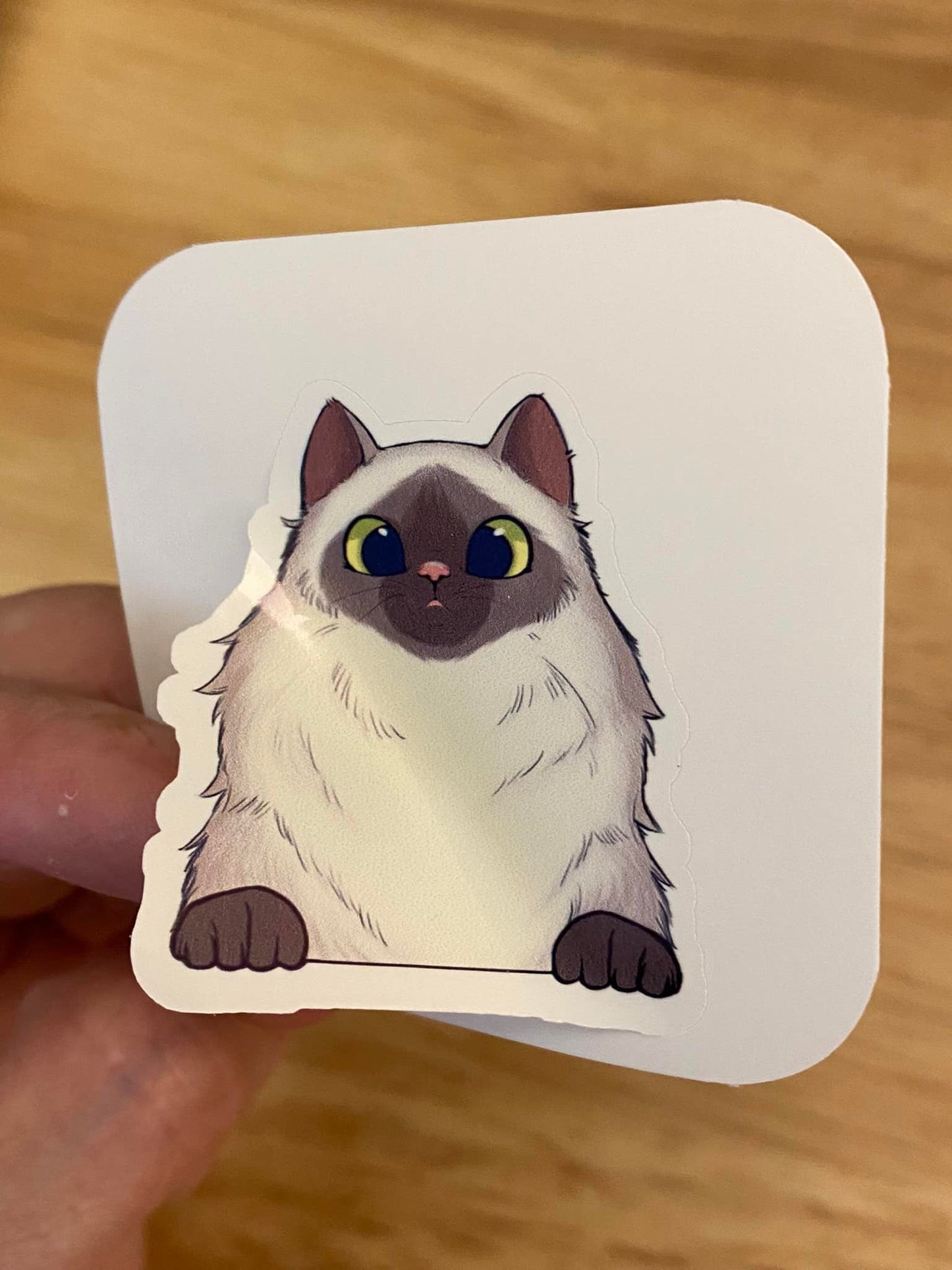 Himalayan cat STICKER