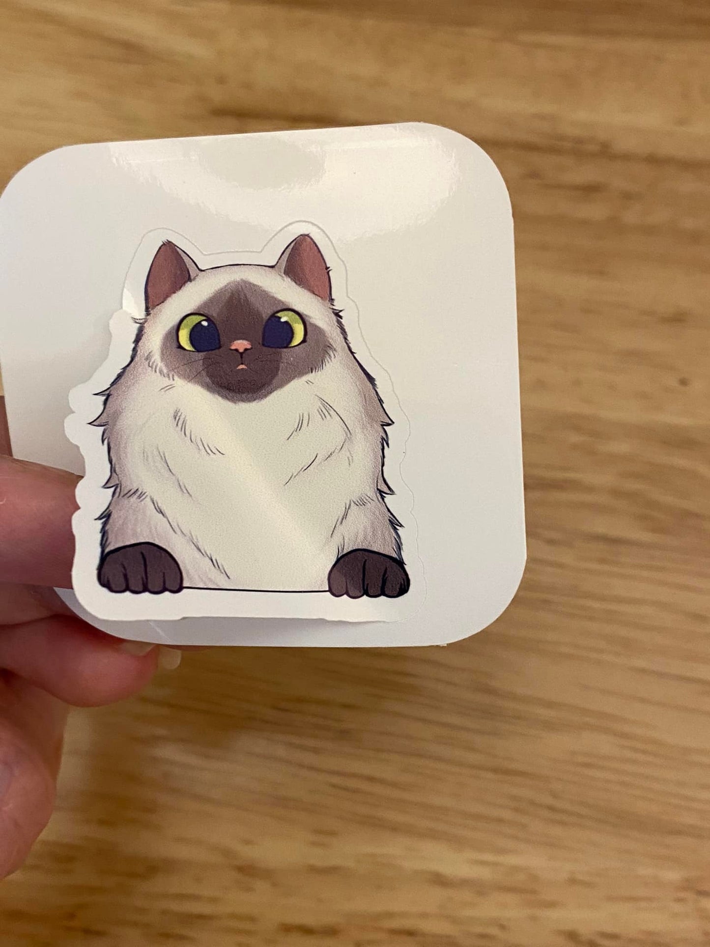 Himalayan cat STICKER