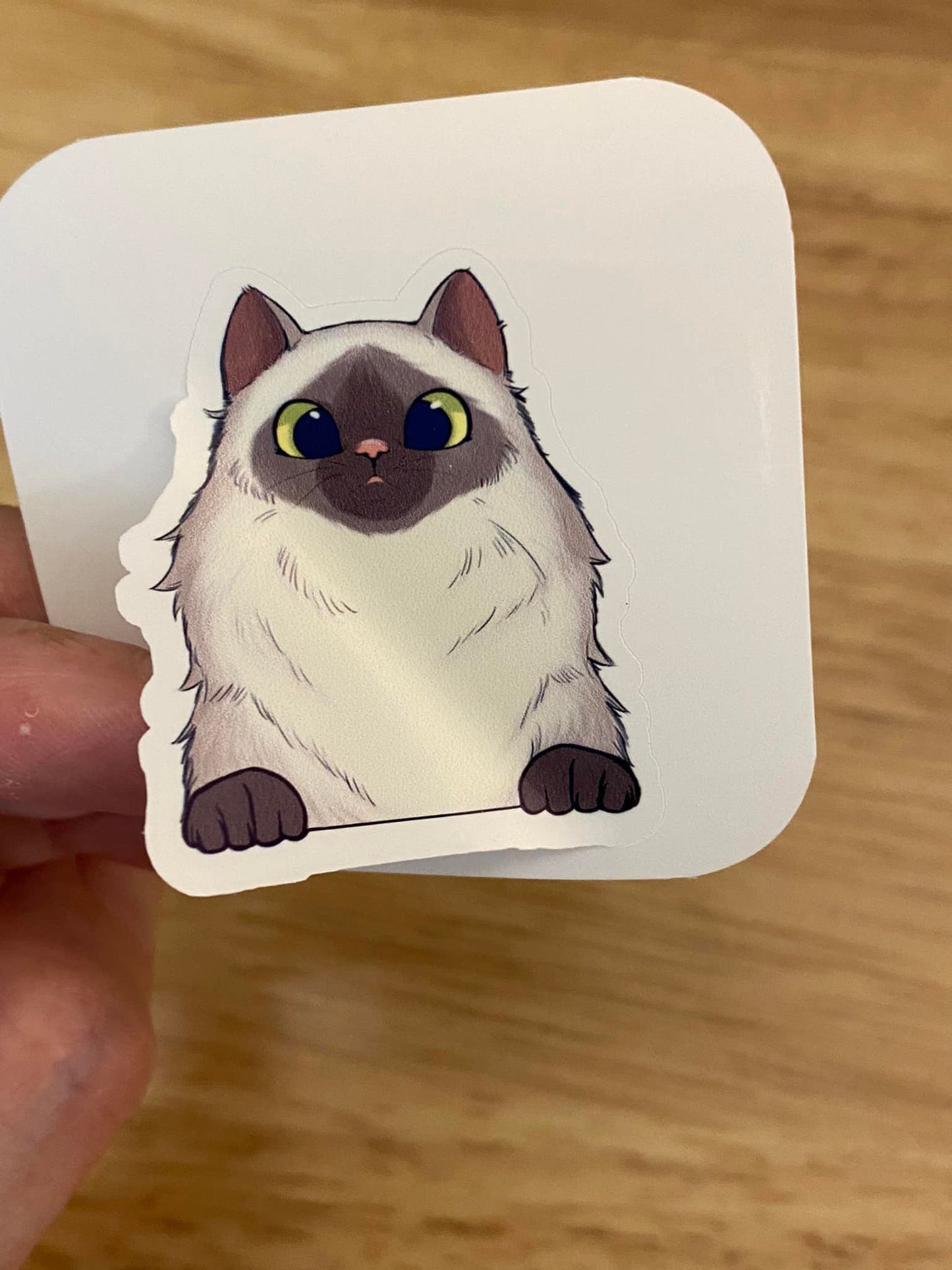 Himalayan cat STICKER